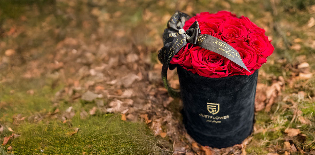 Elegante Rosenbox mit roten Rosen und schwarzem JustFlower Band, ideal als Geschenk für besondere Anlässe.