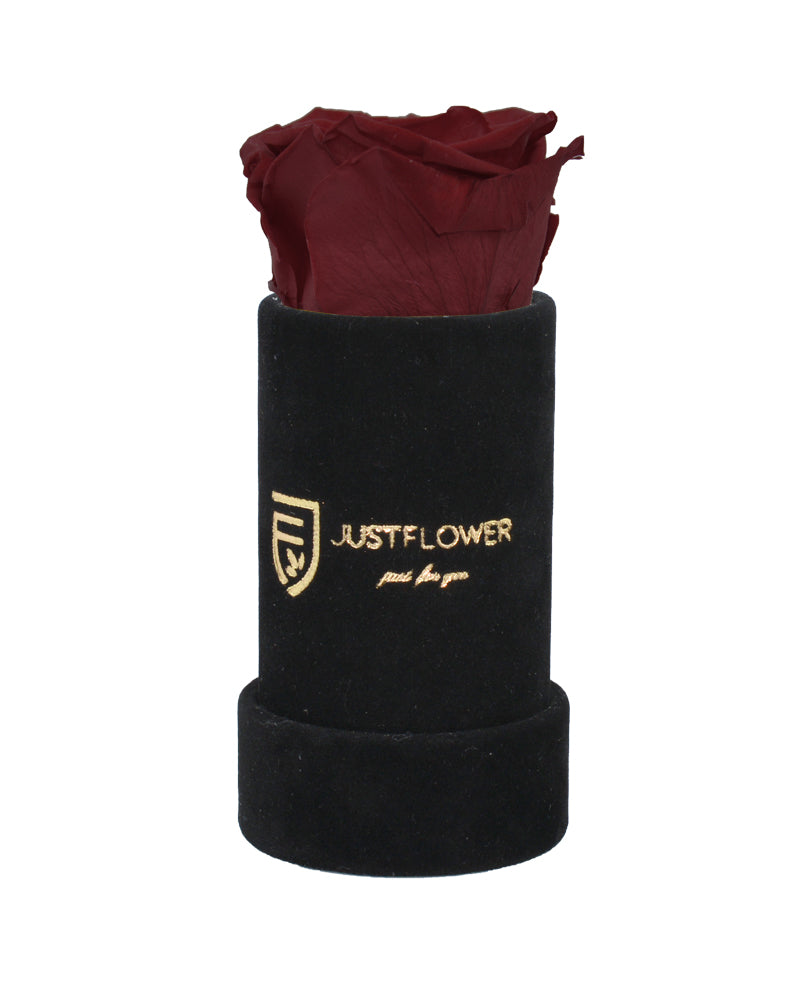 Elegante Rosenbox mit einer ewigen Infinity Rose. Bestellen Sie bei JustFlower.ch für das perfekte Geschenk.