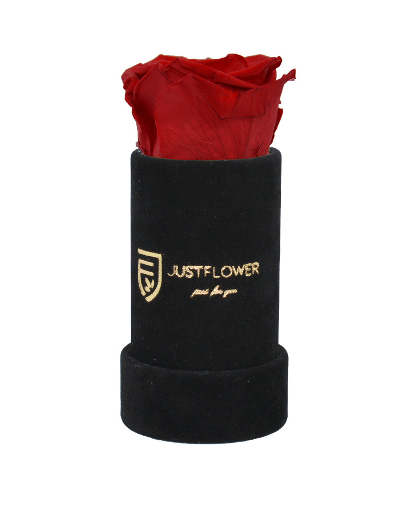 Preserved Infinity Rose in einer exklusiven Rosenbox. Bestellen Sie bei JustFlower.ch für ein besonderes Präsent.