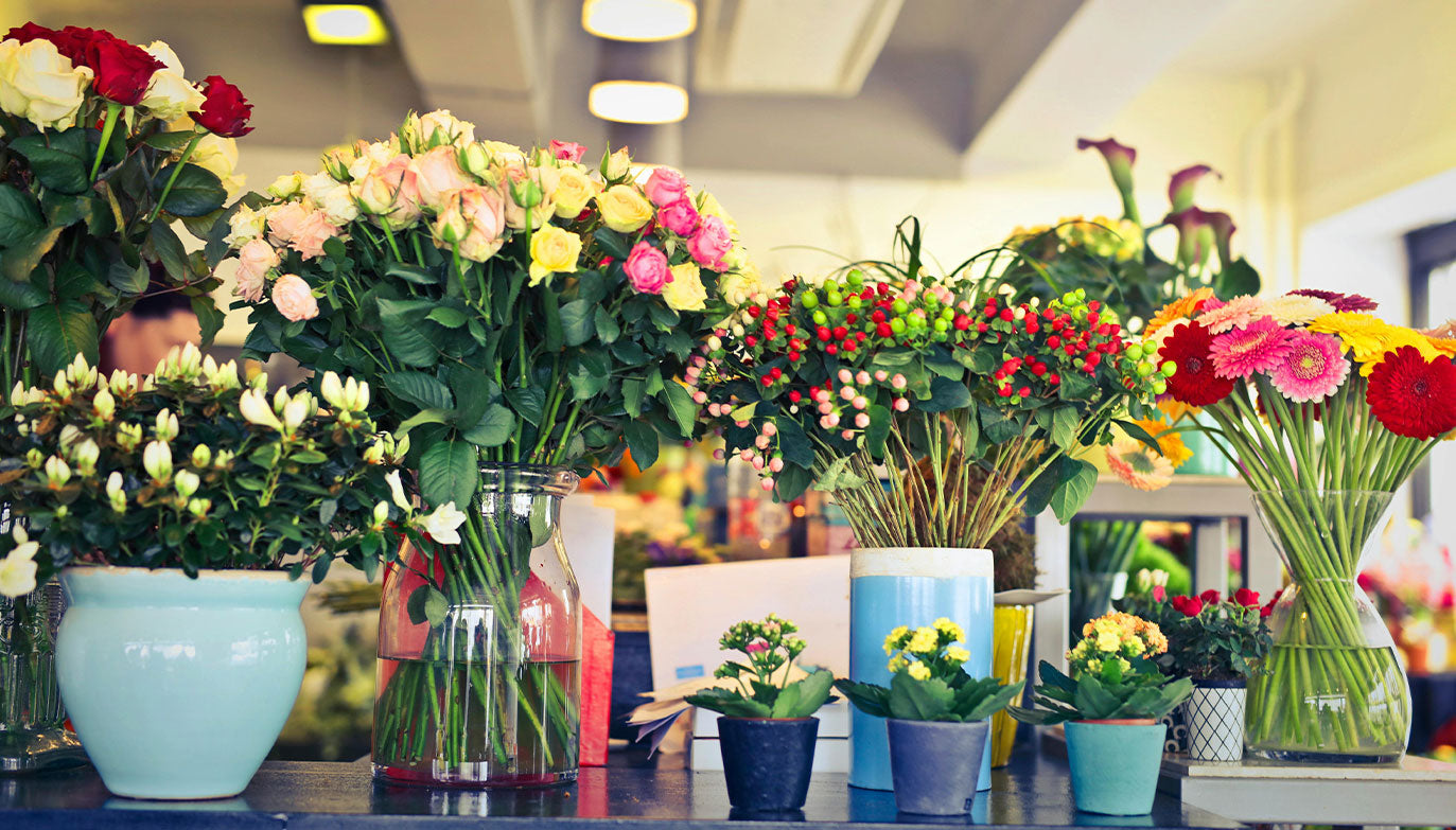 Pflege von frischen Rosen in der Vase: Tipps zur Verlängerung der Haltbarkeit und Pflege für schöne Blumen in Ihrer Vase.