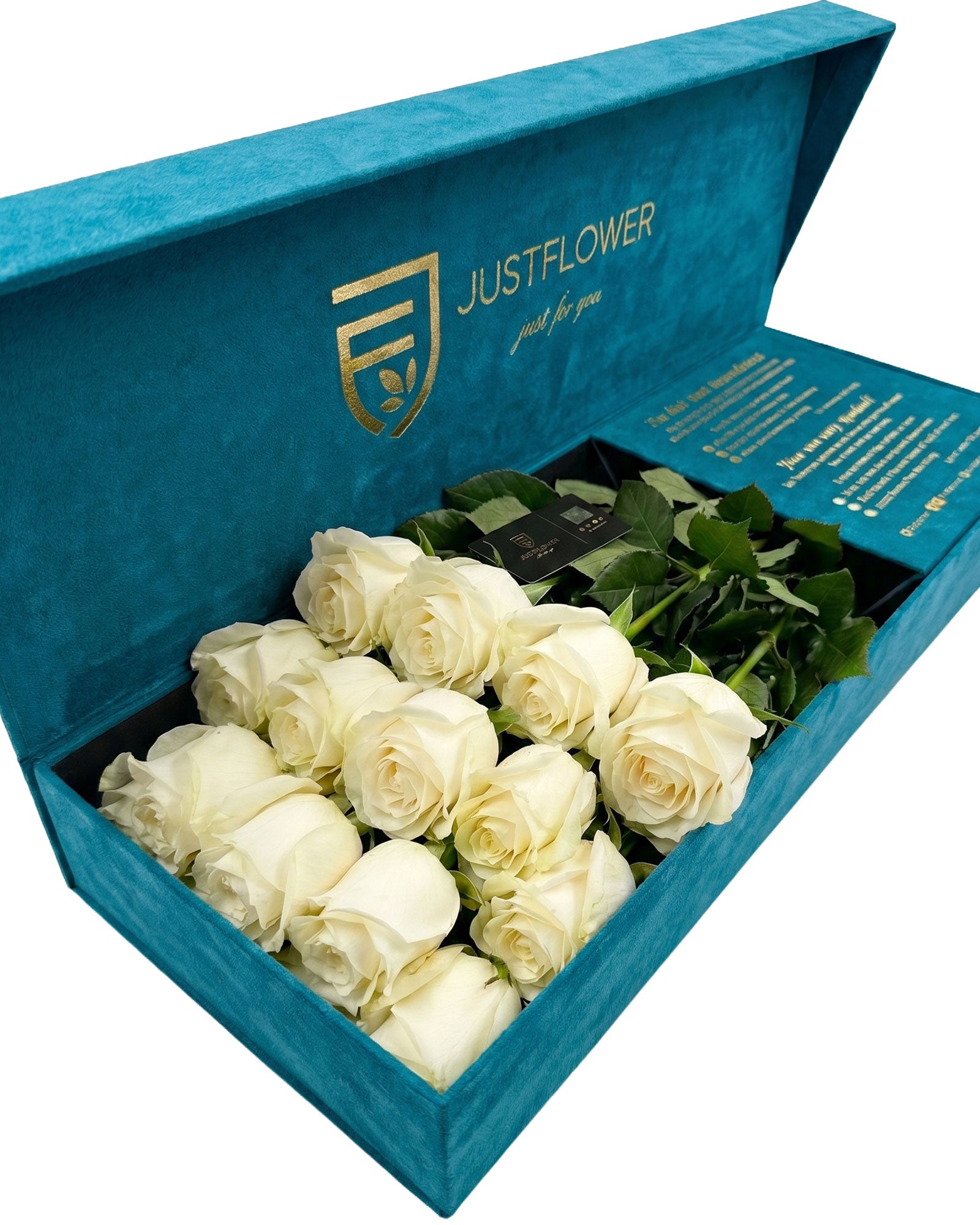 Flowerbox in Petrolgrün mit frischen weissen Rosen in luxuriöser Blumenbox – JustFlower Schweiz