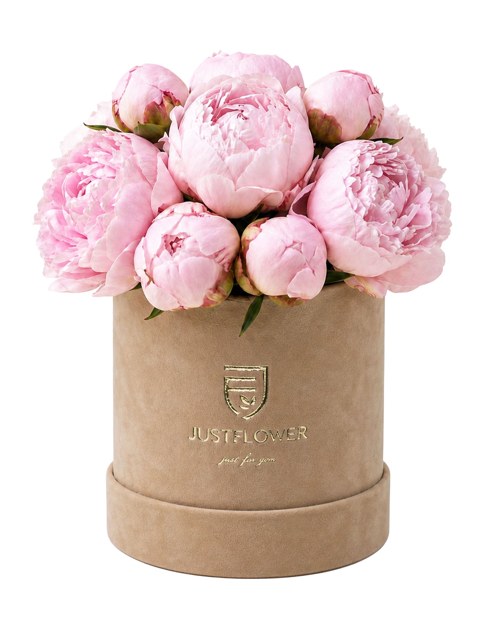 Flowerbox mit frischen Pfingstrosen in Rosa in eleganter beiger Box – exklusives Muttertagsgeschenk von JustFlower