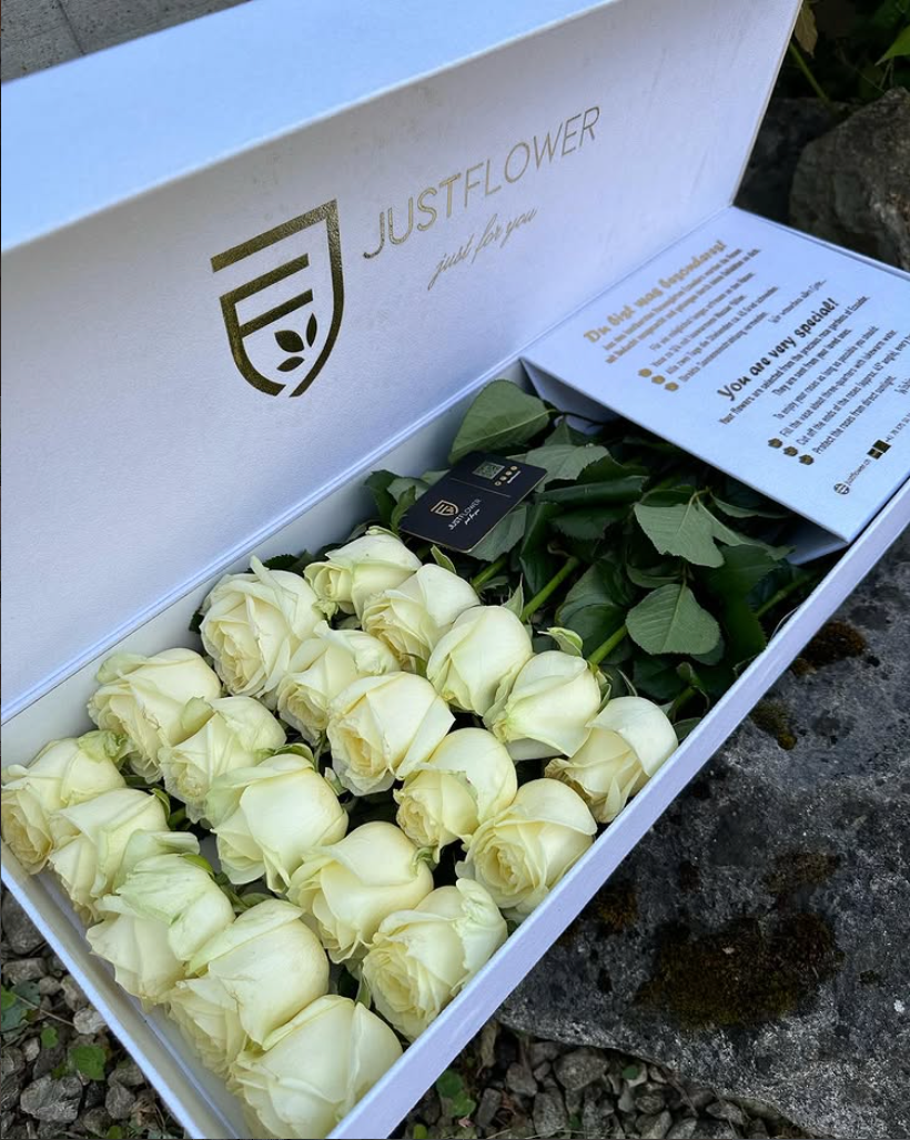 Flowerbox in Weiss mit frischen weissen Rosen – stilvolle Blumenbox von JustFlower