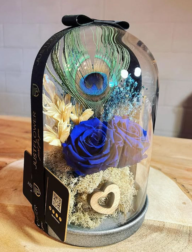 Infinity Rose in Glasglocke mit Pfau Feder – exklusive florale Accessoires und Geschenkideen bei JustFlower