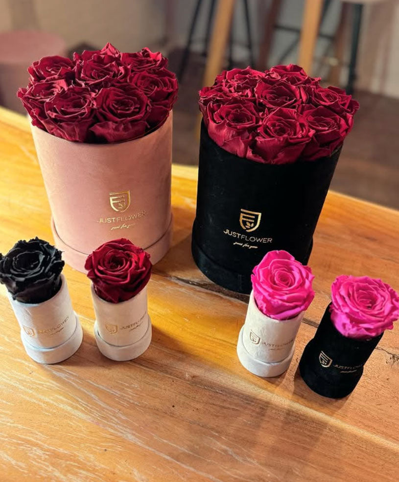 Set aus mehreren Rosenbox Rund in verschiedenen Grössen und Farben – elegante Präsentation