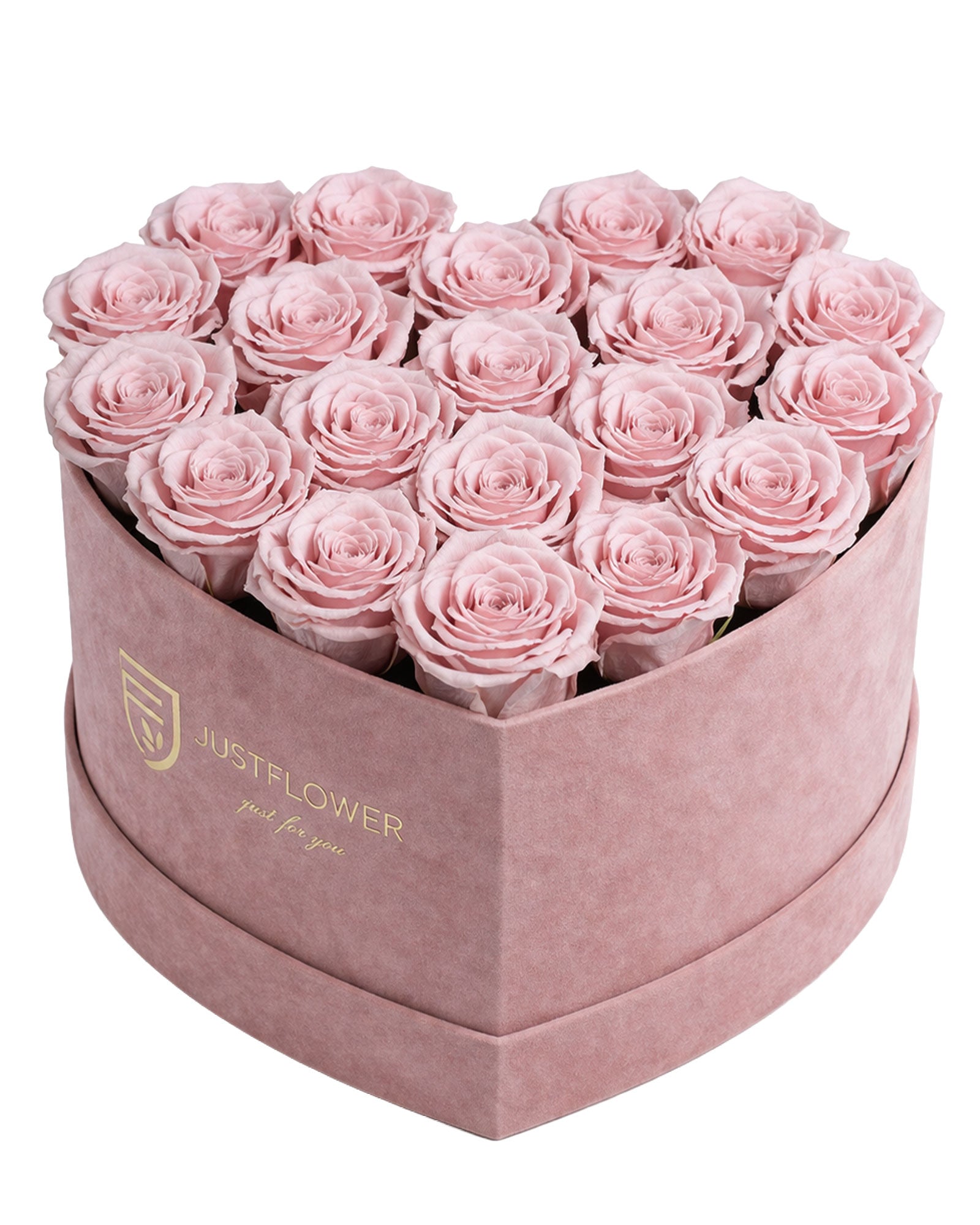 Rosenbox Herz Large in Hellrosa mit Infinity Rosen – elegantes Muttertagsgeschenk