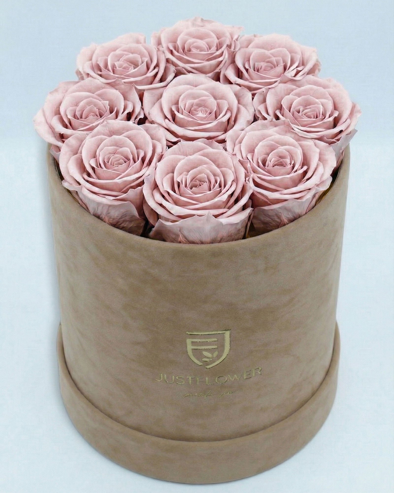 Rosenbox Rund Medium Beige Velvet mit altrosa Infinity Rosen – stilvolle und moderne Rosenbox