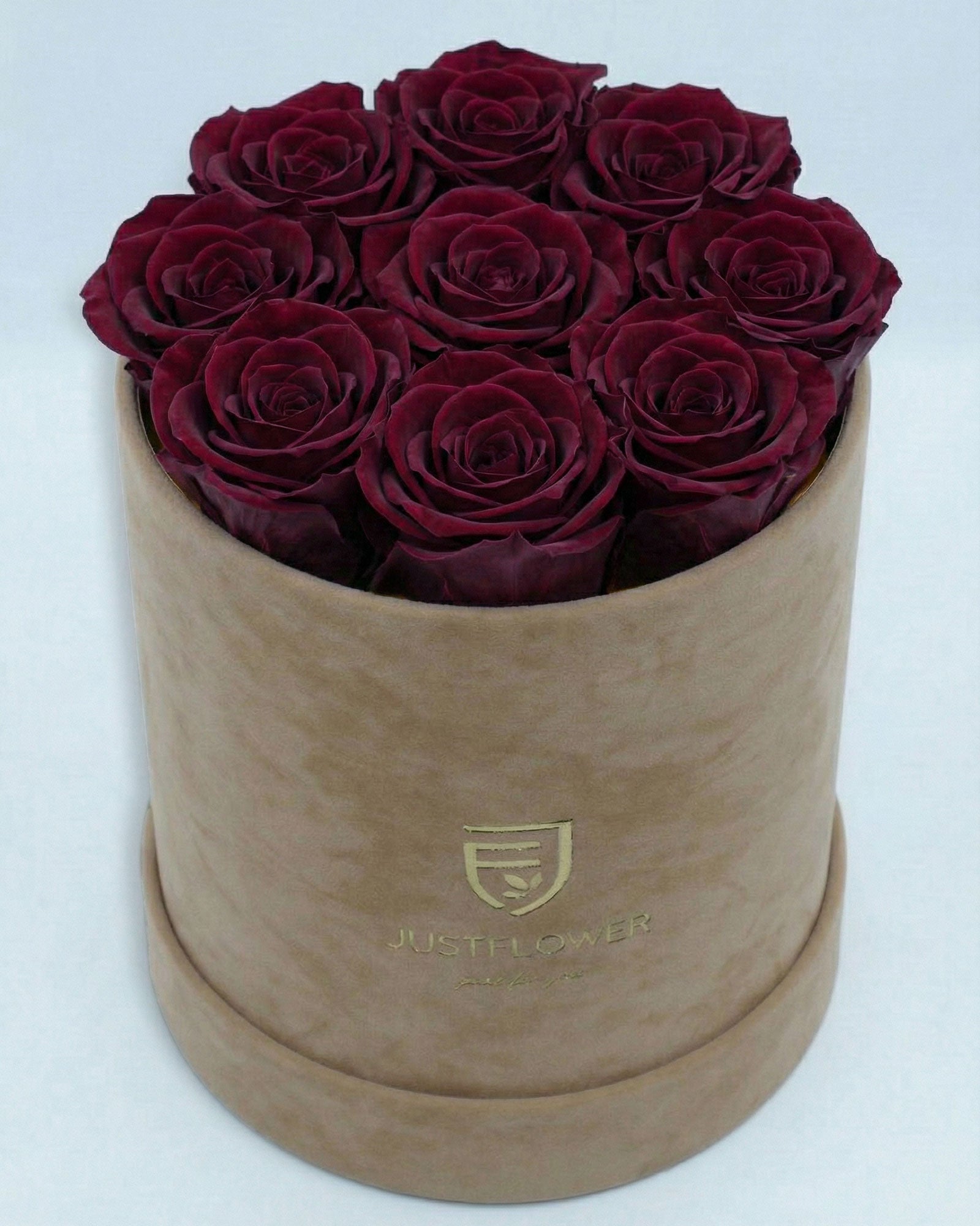 Rosenbox Rund Medium Beige Velvet mit burgundfarbenen Infinity Rosen – elegante Rosenbox für besondere Anlässe