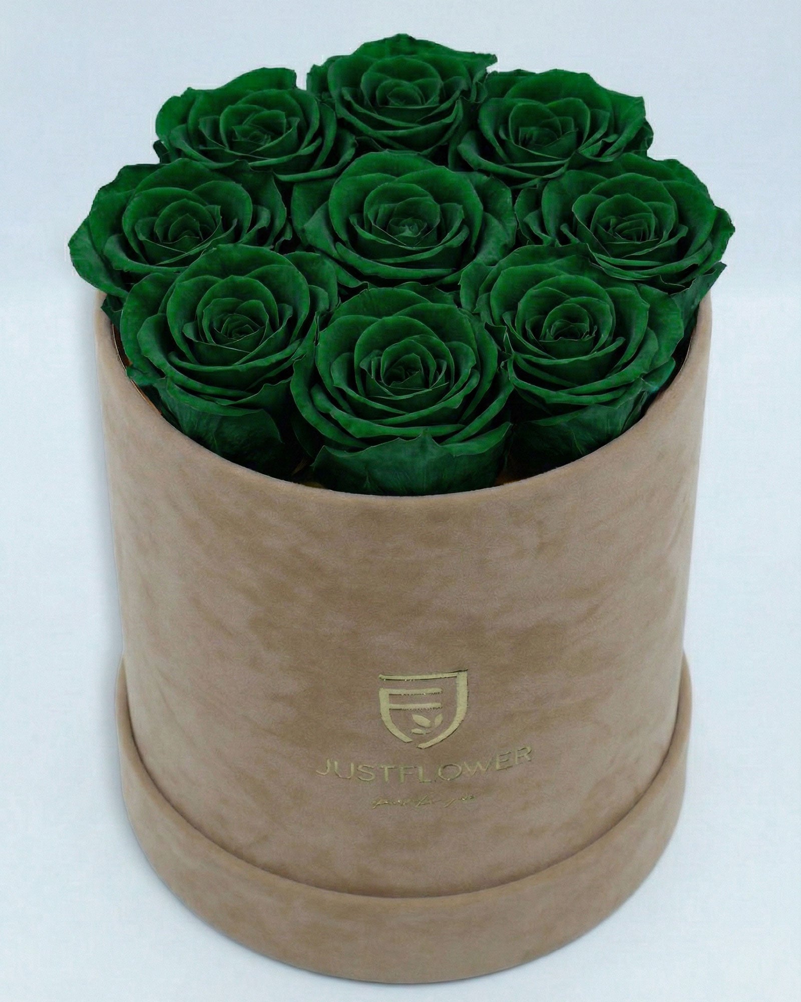Rosenbox Rund Medium Beige Velvet mit grünen Infinity Rosen – aussergewöhnliche und moderne Blumenbox