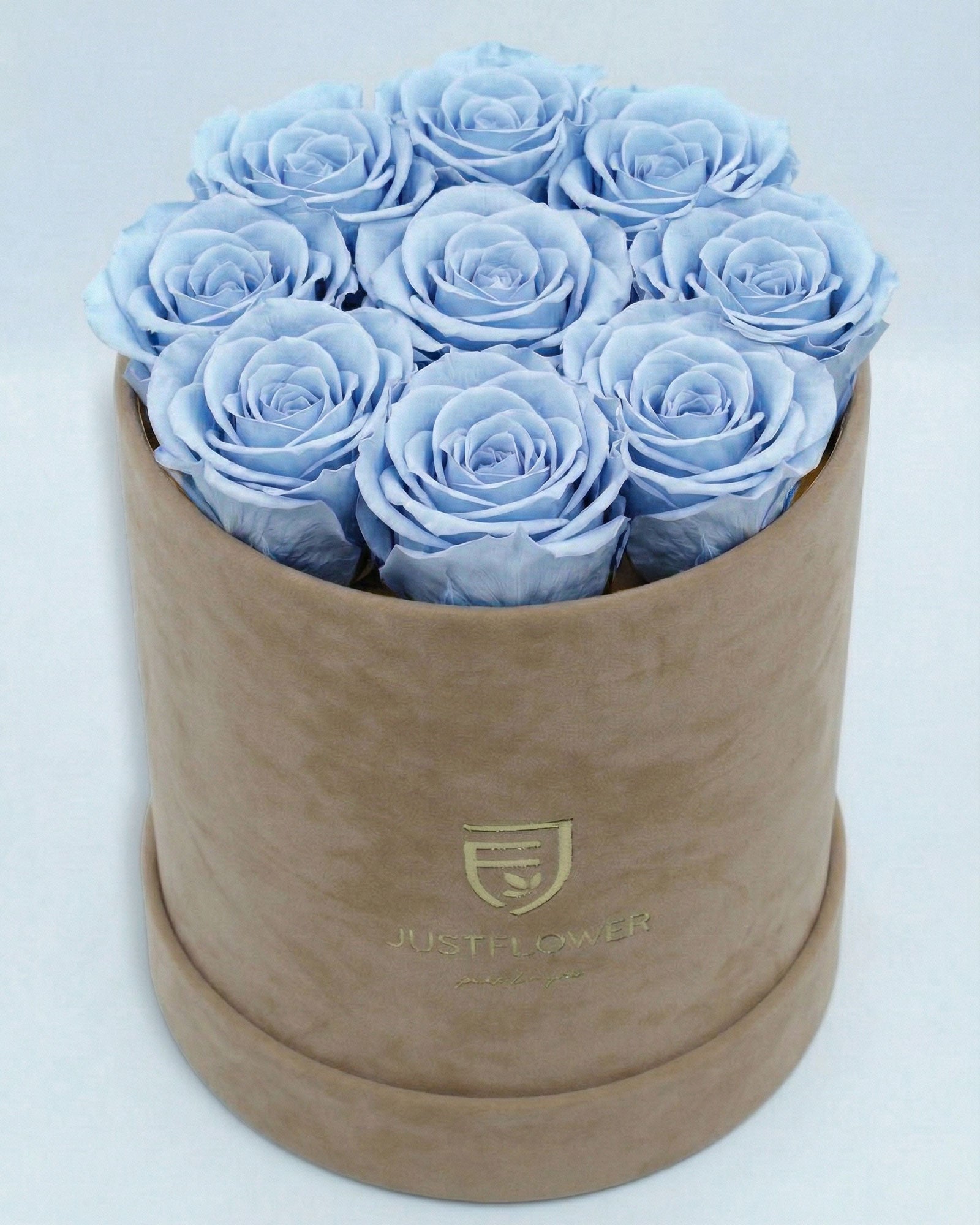 Rosenbox Rund Medium Beige Velvet mit hellblauen Infinity Rosen – kreative und stilvolle Rosenbox