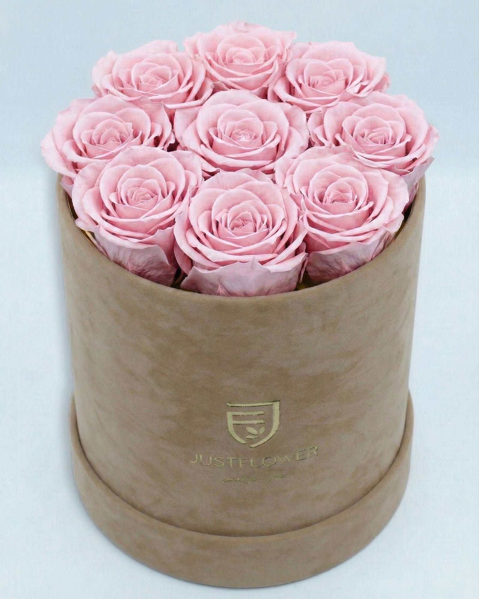 Rosenbox Rund Medium Beige Velvet mit hellrosa Infinity Rosen – harmonische und elegante Blumenbox