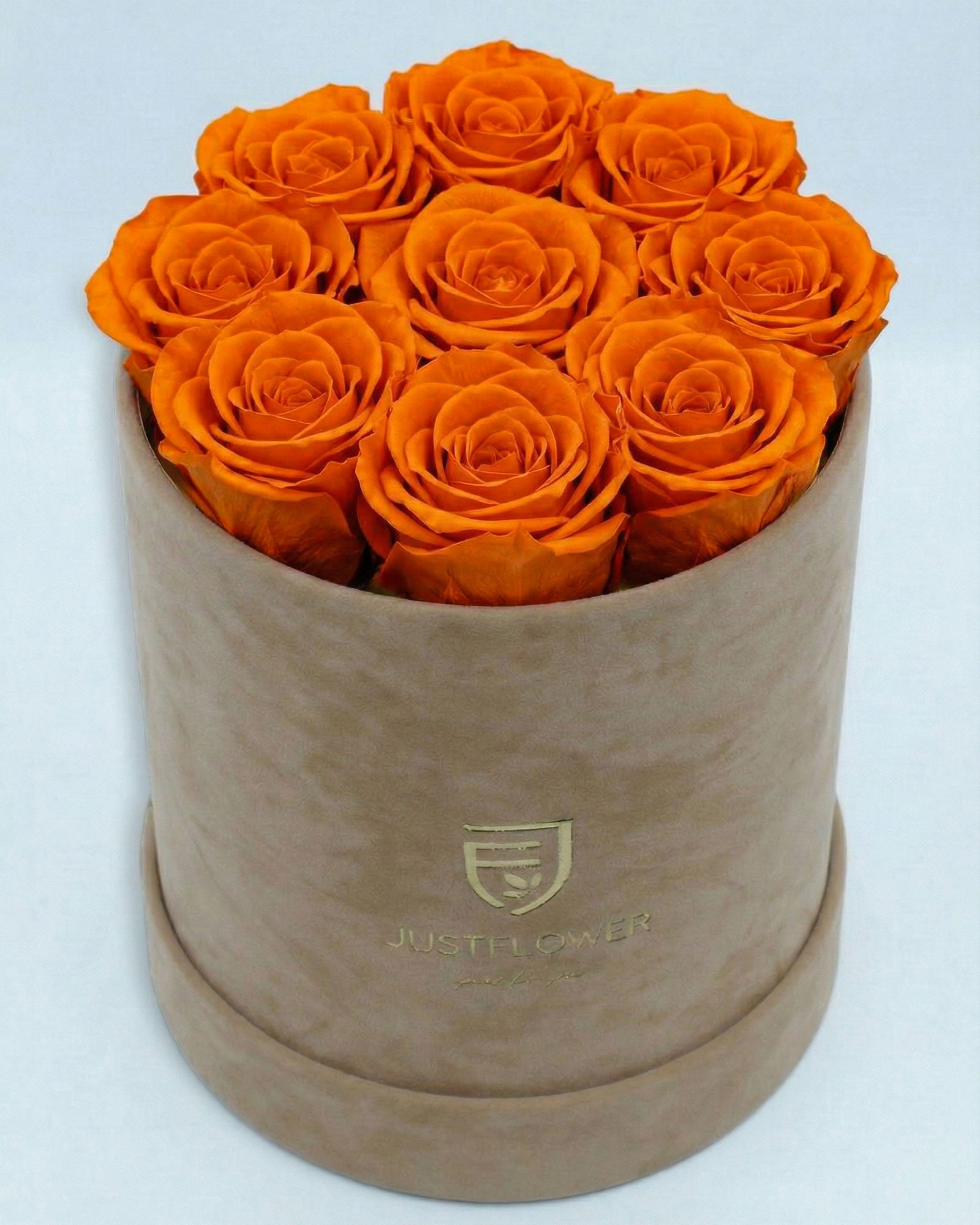 Rosenbox Rund Medium Beige Velvet mit orangefarbenen Infinity Rosen – lebendige und auffällige Geschenkidee