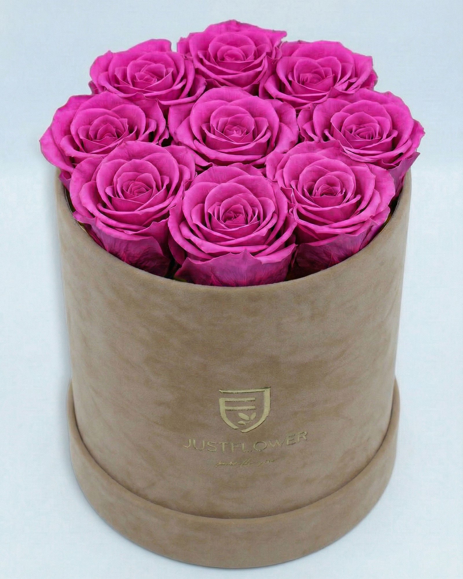 Rosenbox Rund Medium Beige Velvet mit rosa Infinity Rosen – romantische Geschenkbox von JustFlower