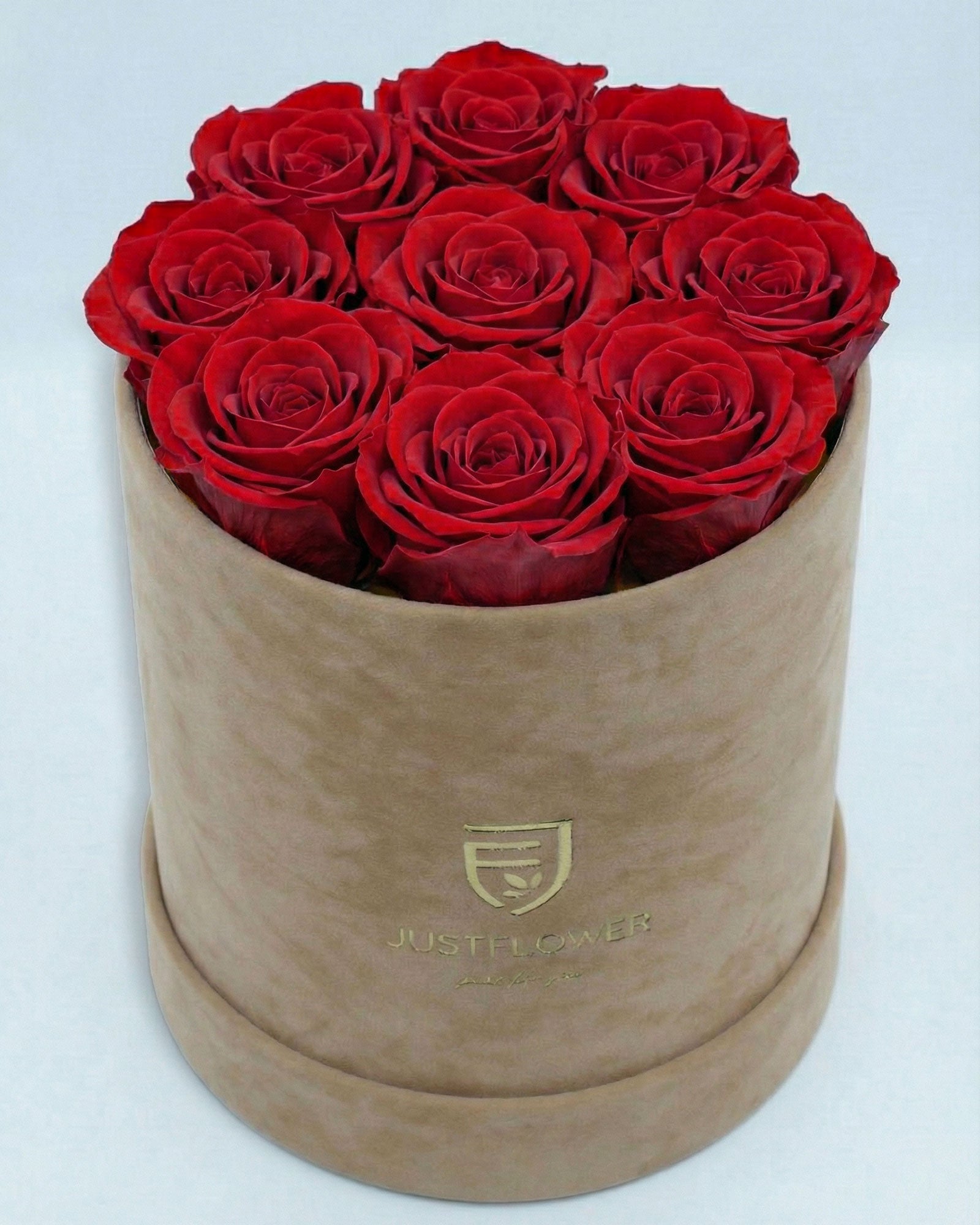 Rosenbox Rund Medium Beige Velvet mit roten Infinity Rosen – luxuriöse Rosenbox Geschenk Schweiz