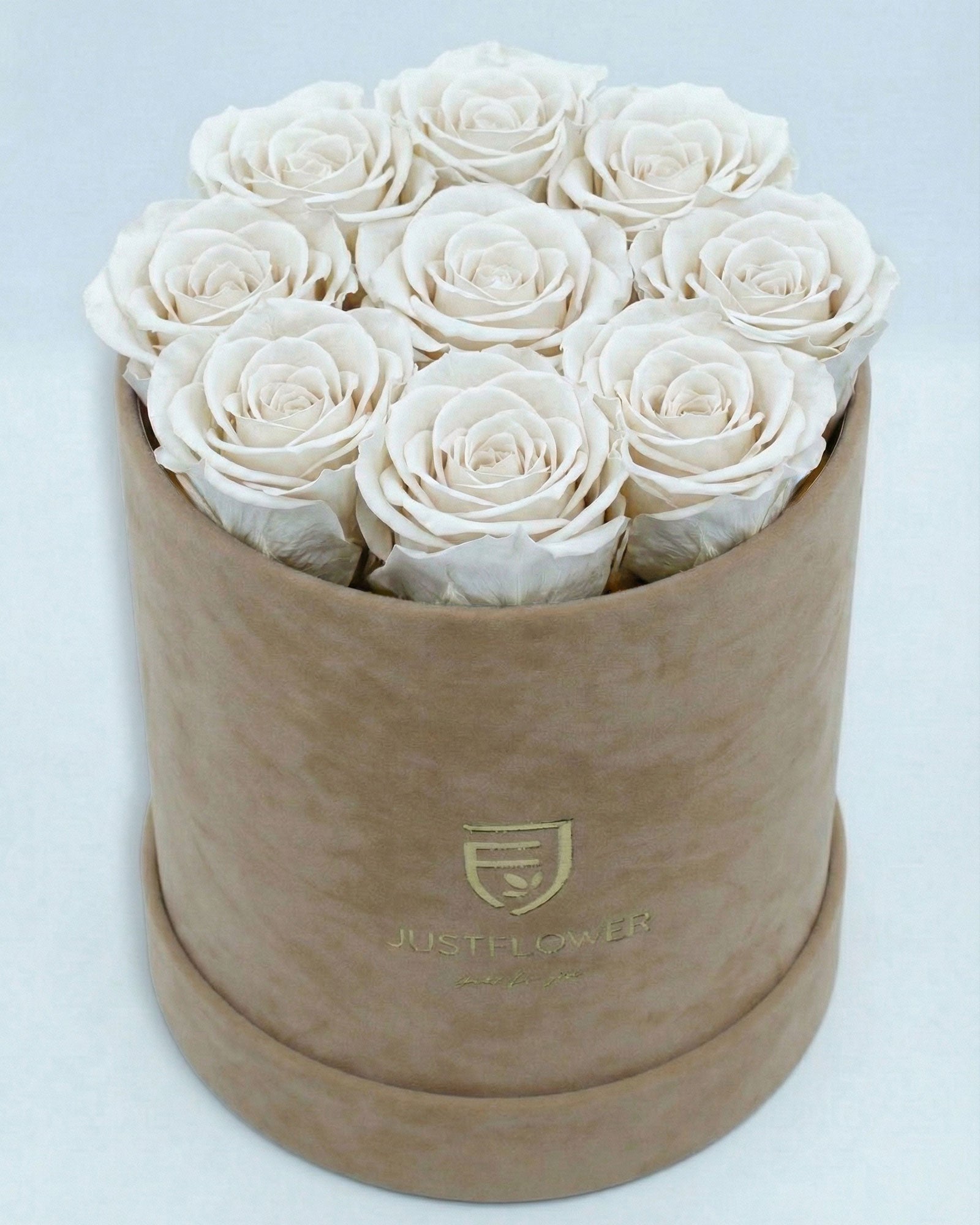 Rosenbox Rund Medium Beige Velvet mit weissen Infinity Rosen – stilvolle und zeitlose Dekoration
