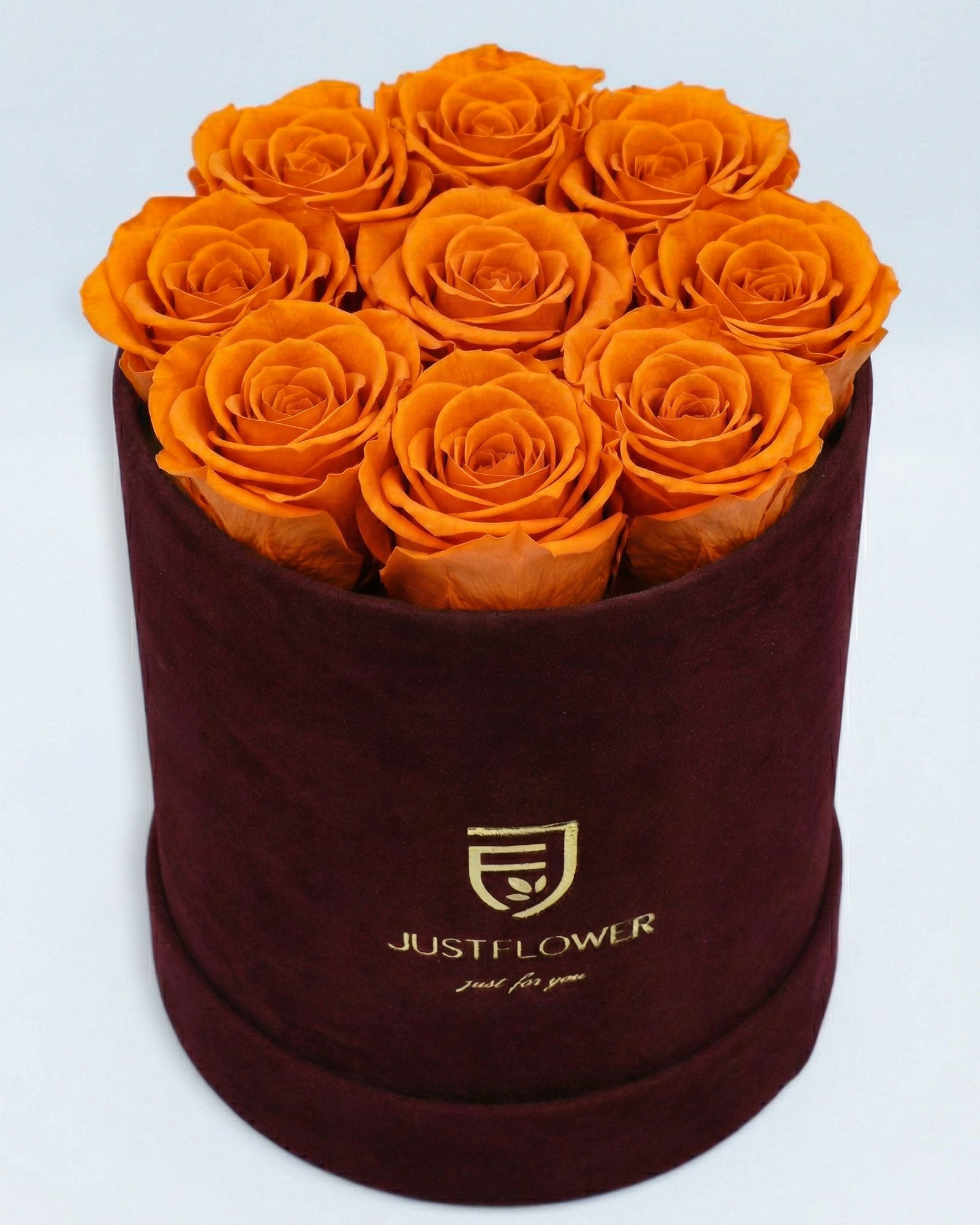 Rosenbox Rund Medium Burgund Velvet mit orangefarbenen Infinity Rosen – lebendige und auffällige Rosenbox