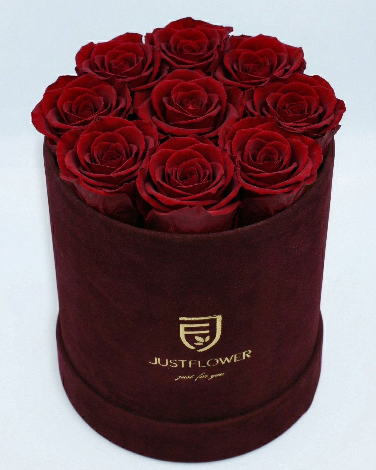 Rosenbox Rund Medium Burgund Velvet mit roten Infinity Rosen – romantische und luxuriöse Rosenbox