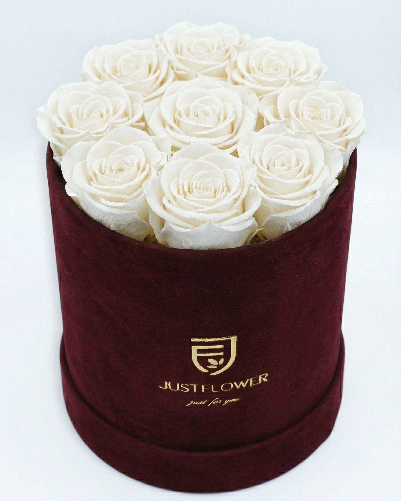 Rosenbox Rund Medium Burgund Velvet mit weissen Infinity Rosen – stilvolle und elegante Rosenbox