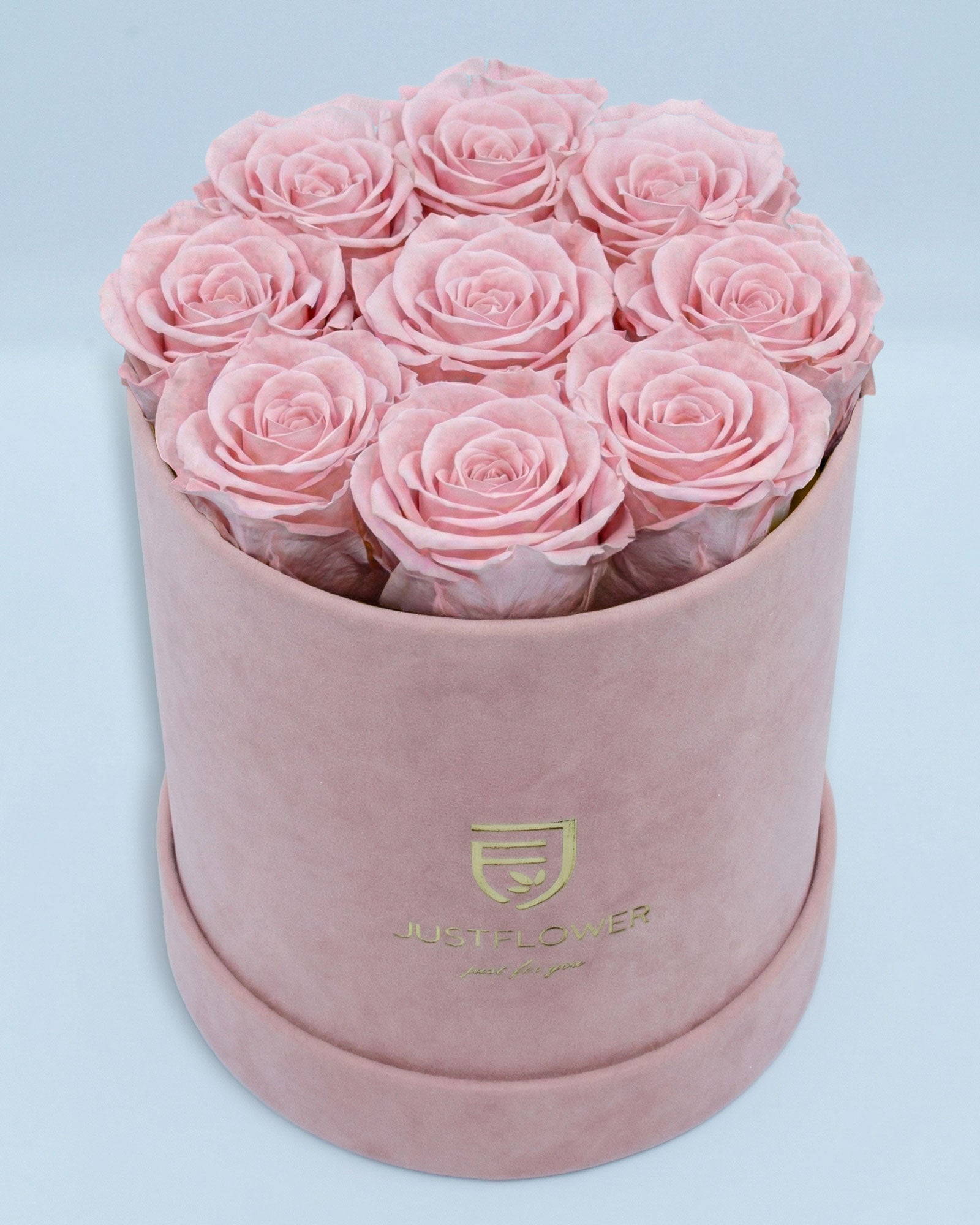 Rosenbox Rund Medium in Hellrosa Velvet mit ca. 9–11 Infinity Rosen in Hellrosa – elegante Geschenkbox von JustFlower Schweiz