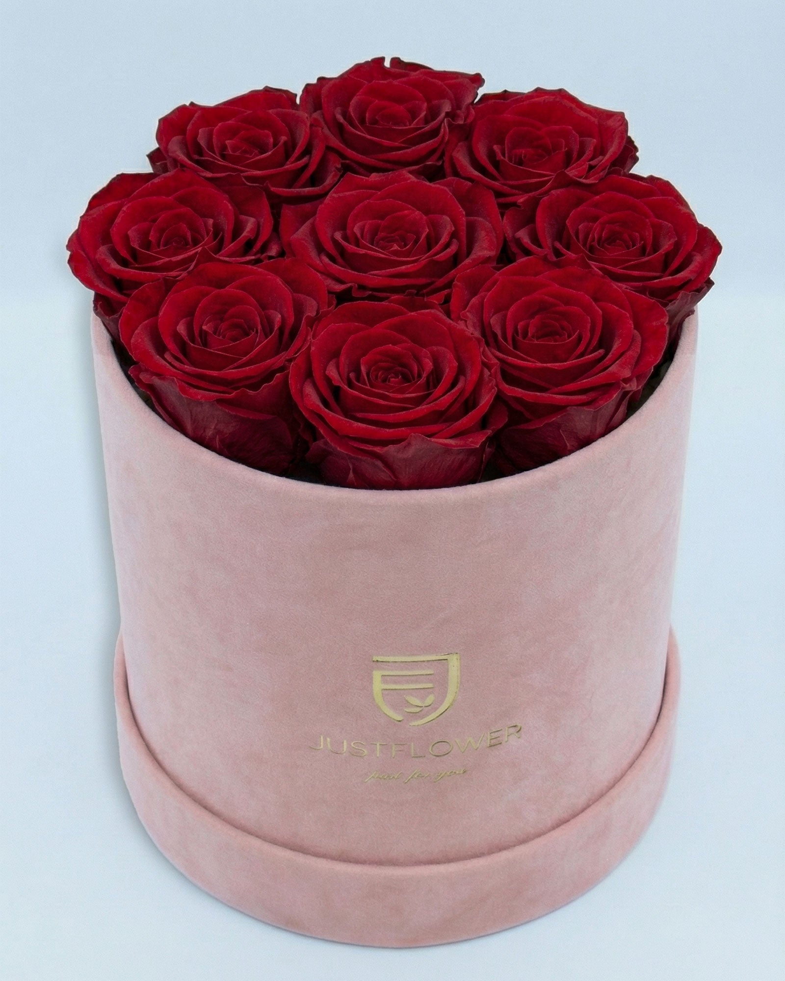 Rosenbox Rund Medium Hellrosa Velvet mit roten Infinity Rosen – luxuriöse Rosenbox Geschenk Schweiz