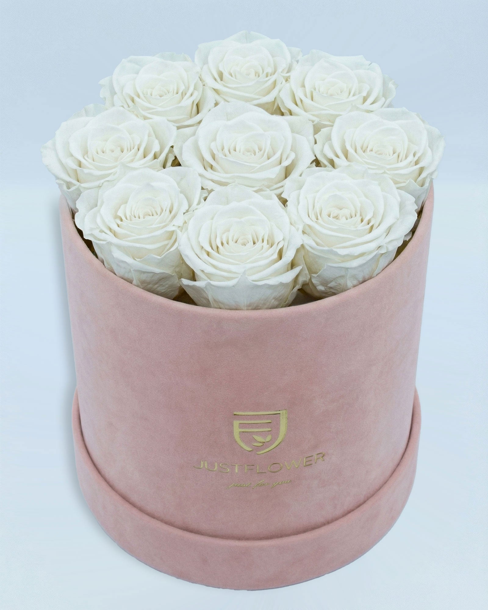 Rosenbox Rund Medium Hellrosa Velvet mit weissen Infinity Rosen – stilvolle und zeitlose Dekoration