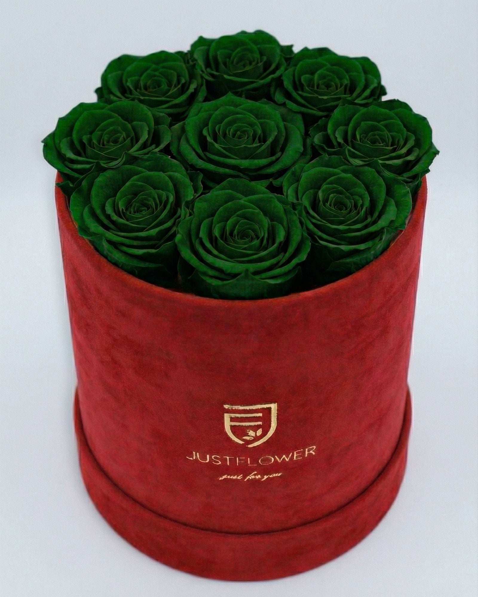 Rosenbox Rund Medium Rot Velvet mit grünen Infinity Rosen – aussergewöhnliche und moderne Rosenbox