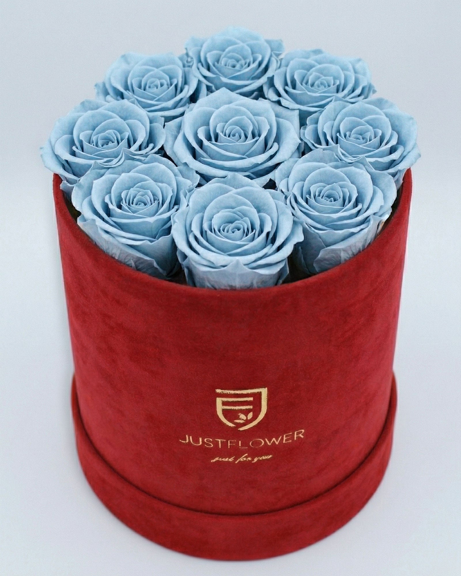 Rosenbox Rund Medium Rot Velvet mit hellblauen Infinity Rosen – kreative und kontrastreiche Geschenkidee