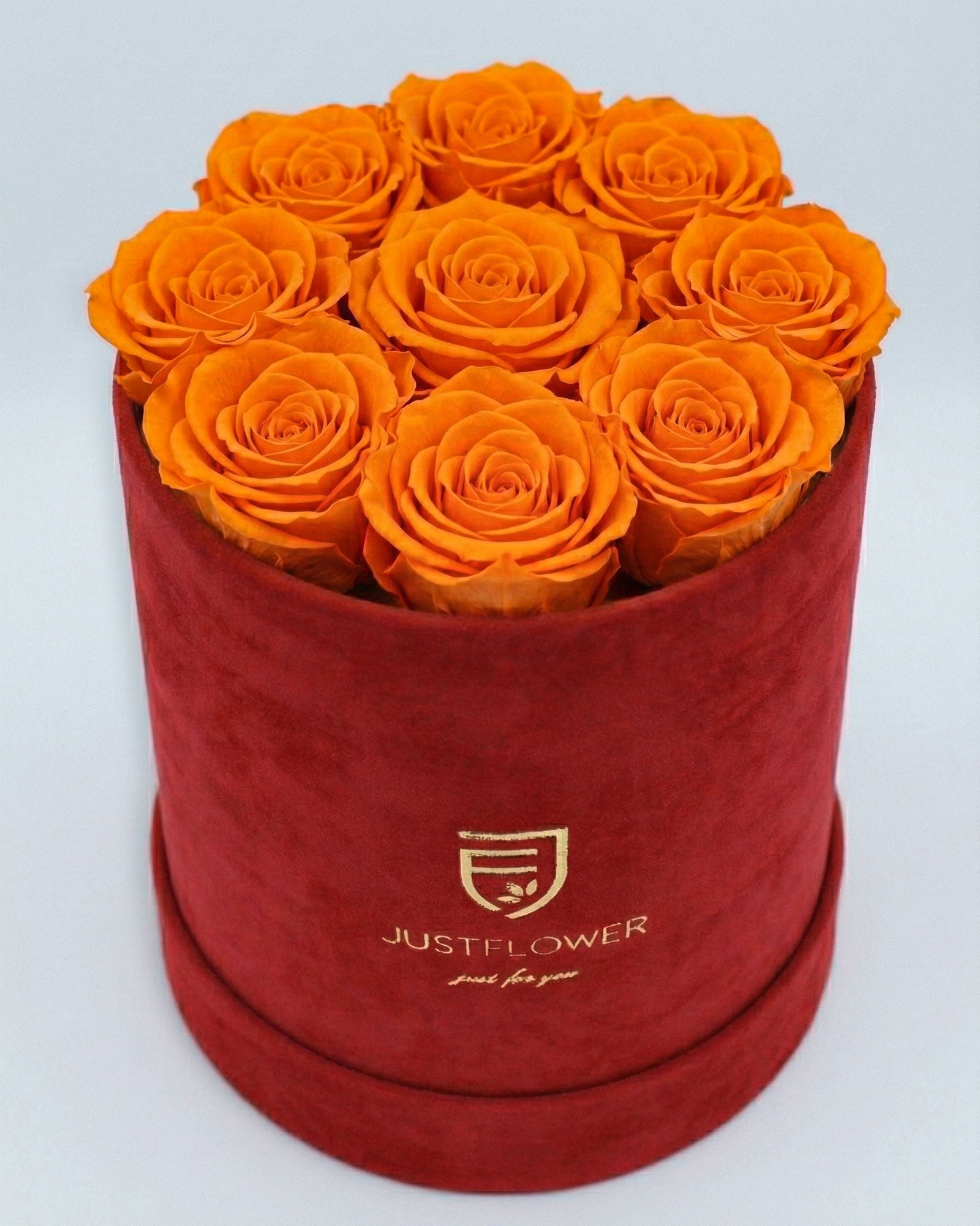 Rosenbox Rund Medium Rot Velvet mit orangefarbenen Infinity Rosen – lebendige und auffällige Geschenkidee