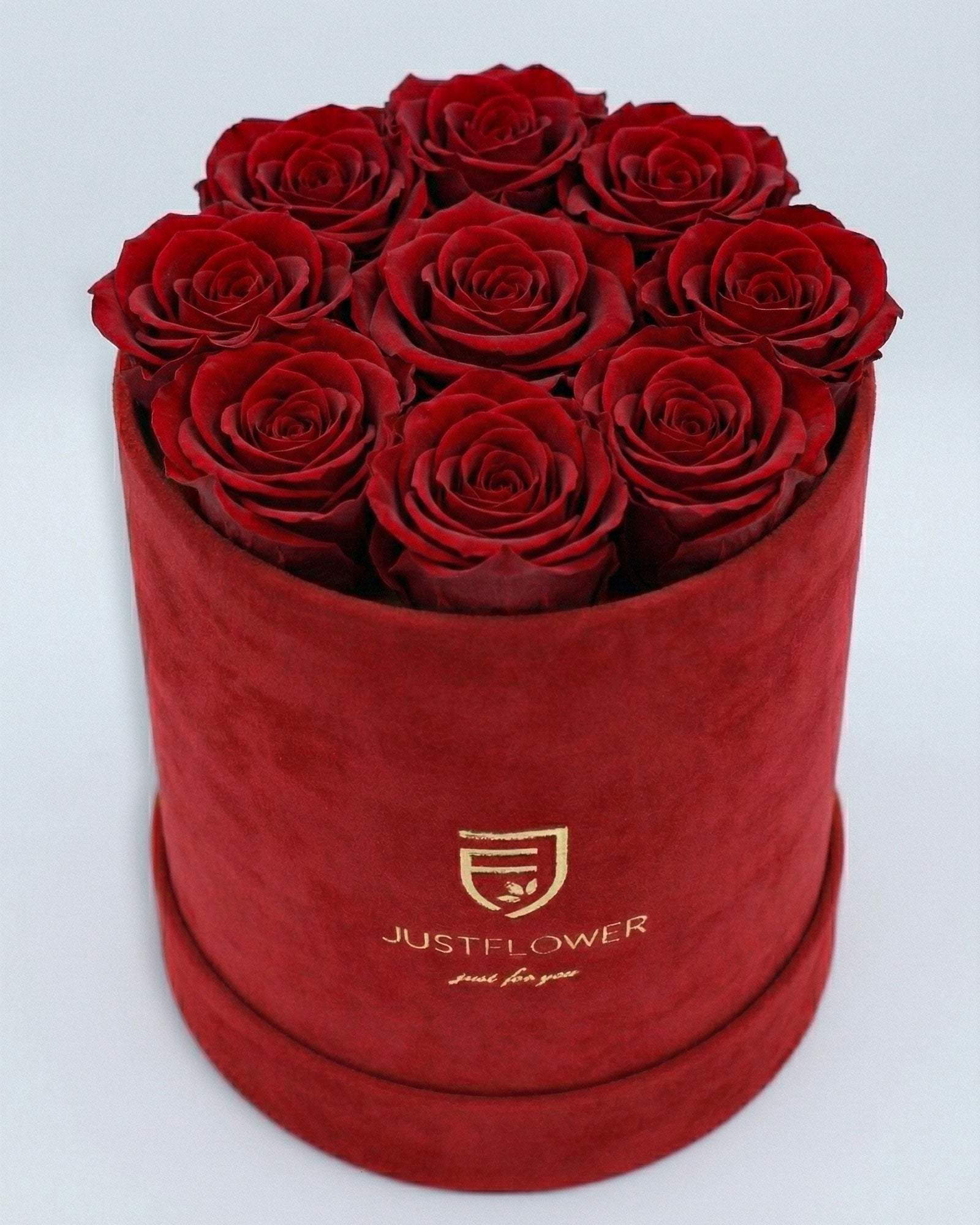 Rosenbox Rund Medium in Rot Velvet mit ca. 9–11 Infinity Rosen in Rot – luxuriöse Geschenkbox von JustFlower Schweiz