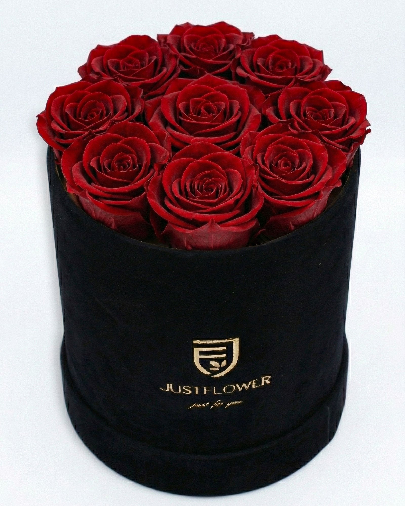 Rosenbox Rund Medium Schwarz Velvet mit roten Infinity Rosen – luxuriöse und kontrastreiche Rosenbox