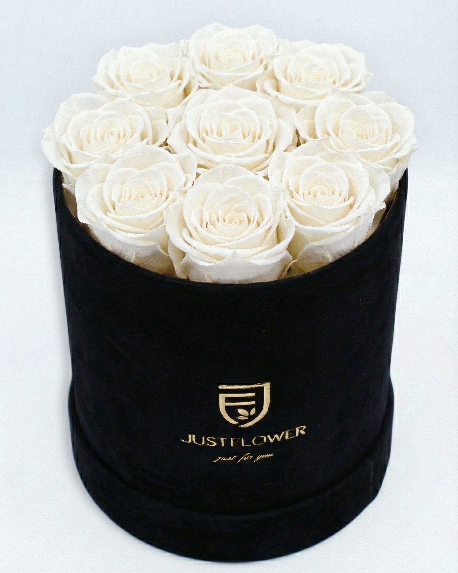 Rosenbox Rund Medium Schwarz Velvet mit weissen Infinity Rosen – stilvolle und moderne Geschenkidee