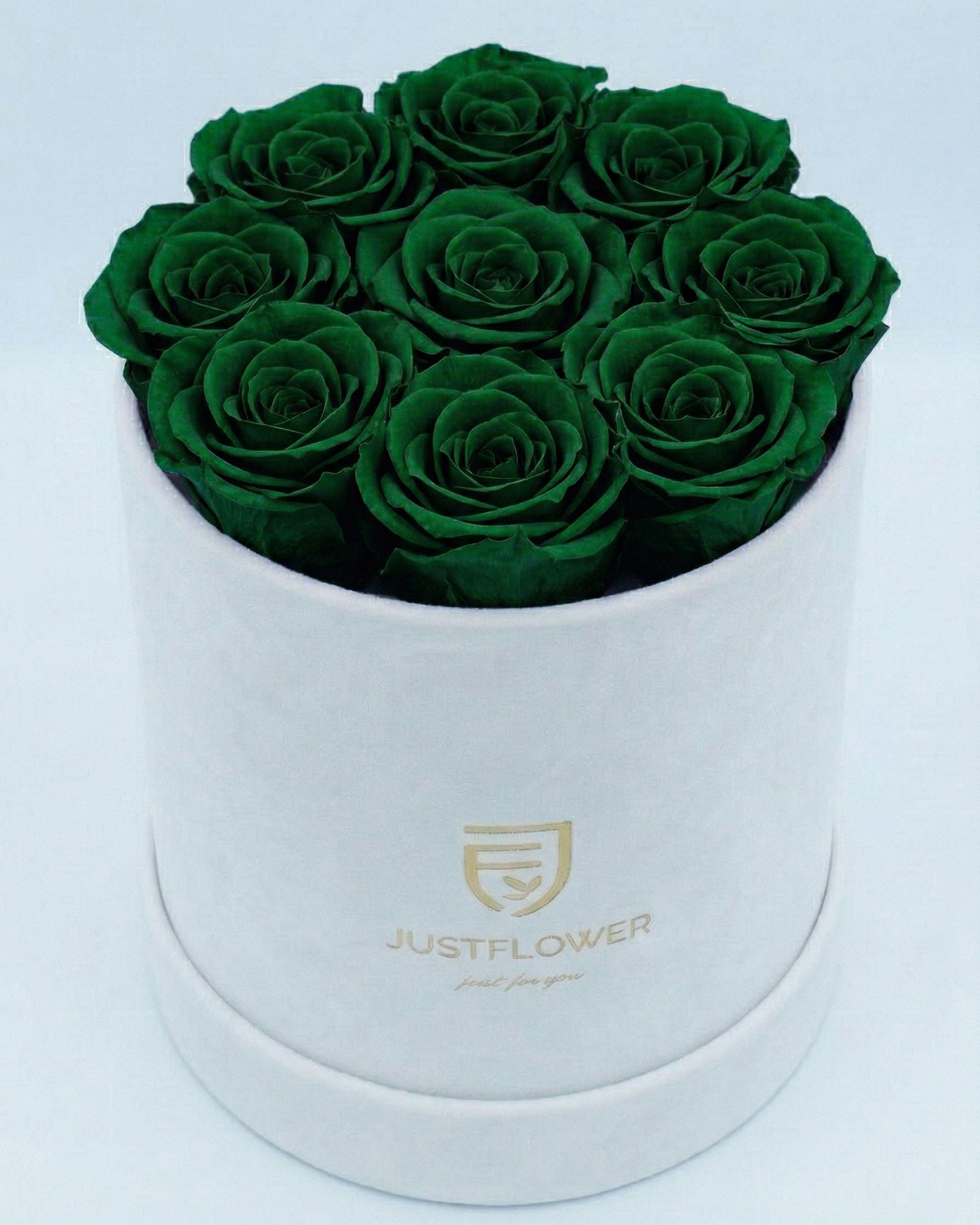 Rosenbox Rund Medium Weiss Velvet mit grünen Infinity Rosen – aussergewöhnliche und moderne Rosenbox