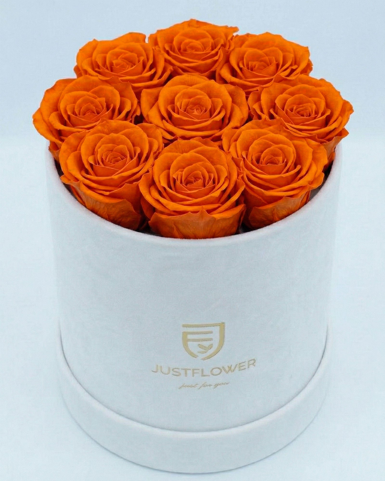 Rosenbox Rund Medium Weiss Velvet mit orangefarbenen Infinity Rosen – lebendige und auffällige Geschenkidee