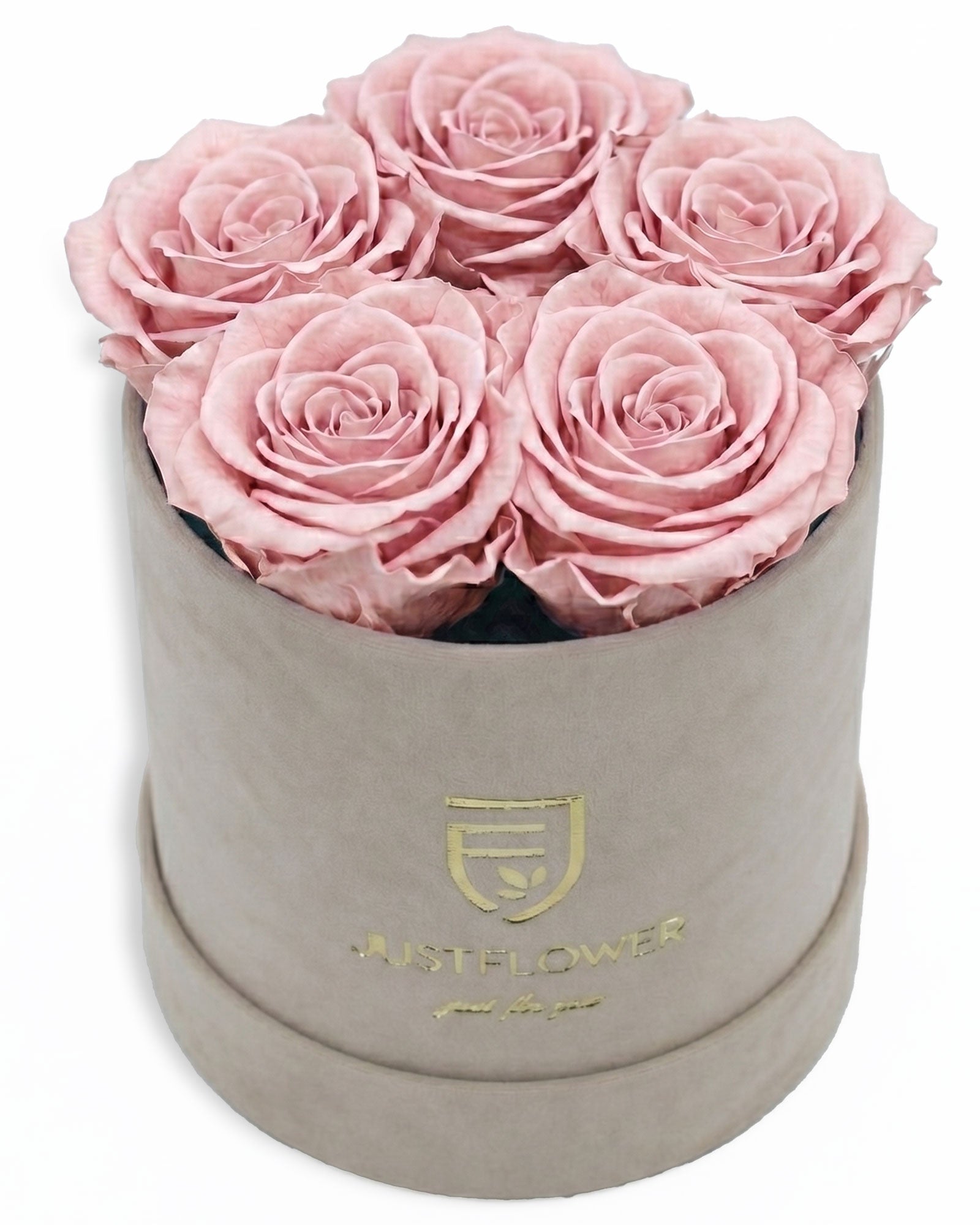 Rosenbox Rund Small Beige Velvet (12x12 cm) mit altrosa Infinity Rosen – moderne Rosenbox im Vintage Stil