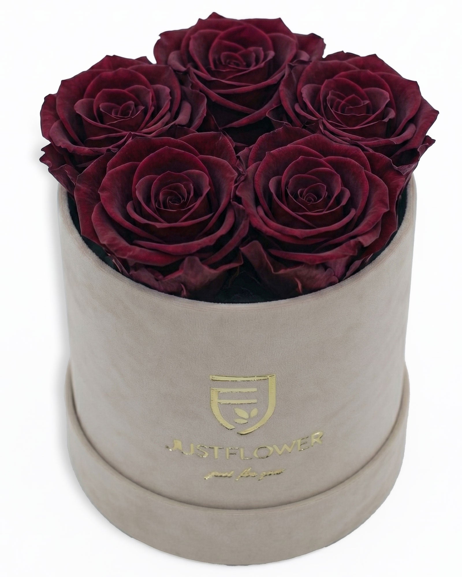 Rosenbox Rund Small Beige Velvet (12x12 cm) mit burgundfarbenen Infinity Rosen – edle und luxuriöse Geschenkbox