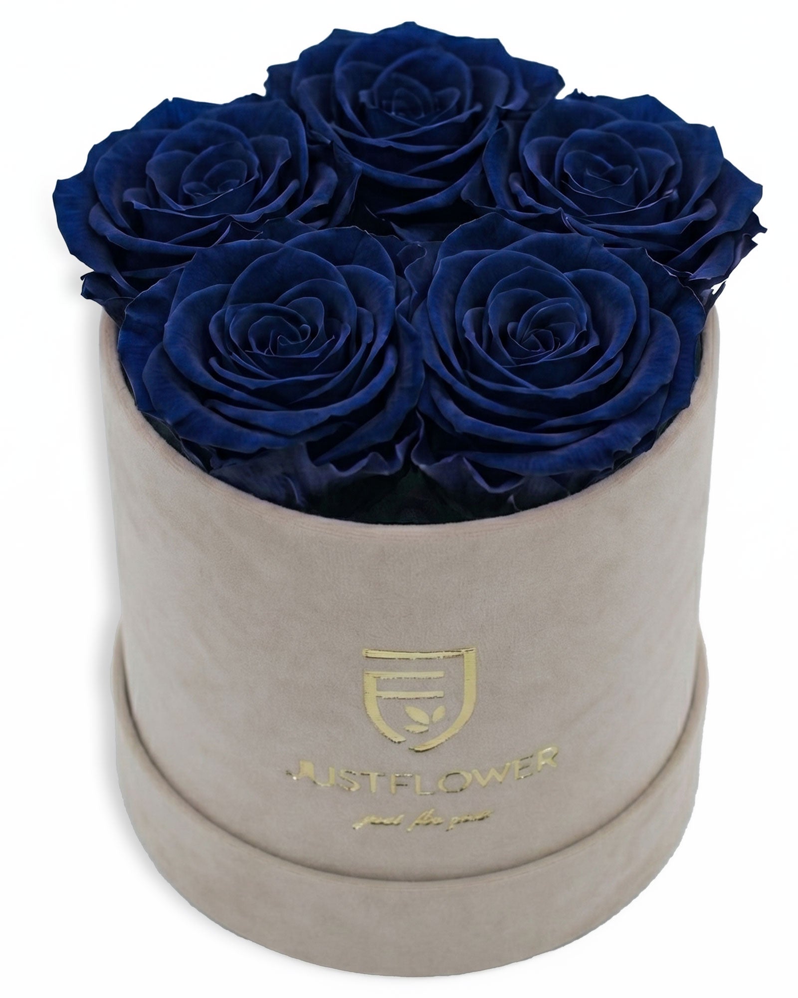 Rosenbox Rund Small Beige Velvet (12x12 cm) mit dunkelblauen Infinity Rosen – edles und tiefes Farbdesign