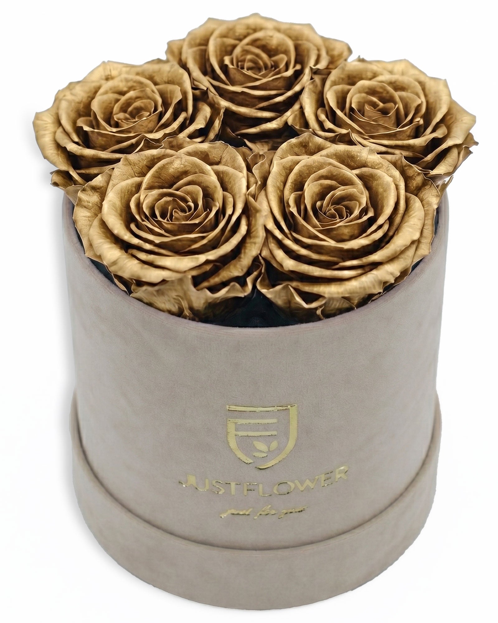 Rosenbox Rund Small Beige Velvet (12x12 cm) mit goldenen Infinity Rosen – luxuriöse Rosenbox für exklusive Geschenke
