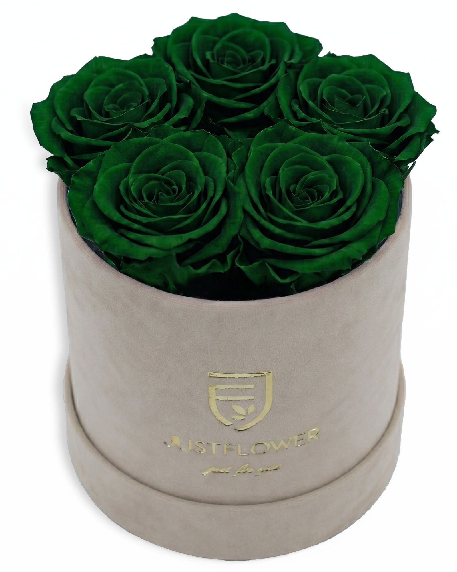 Rosenbox Rund Small Beige Velvet (12x12 cm) mit grünen Infinity Rosen – aussergewöhnliche und moderne Geschenkidee