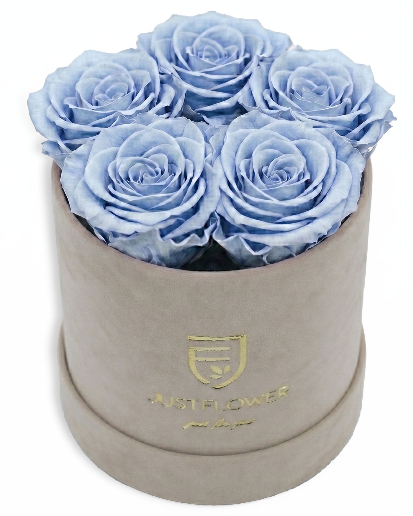 Rosenbox Rund Small Beige Velvet (12x12 cm) mit hellblauen Infinity Rosen – frische und moderne Rosenbox