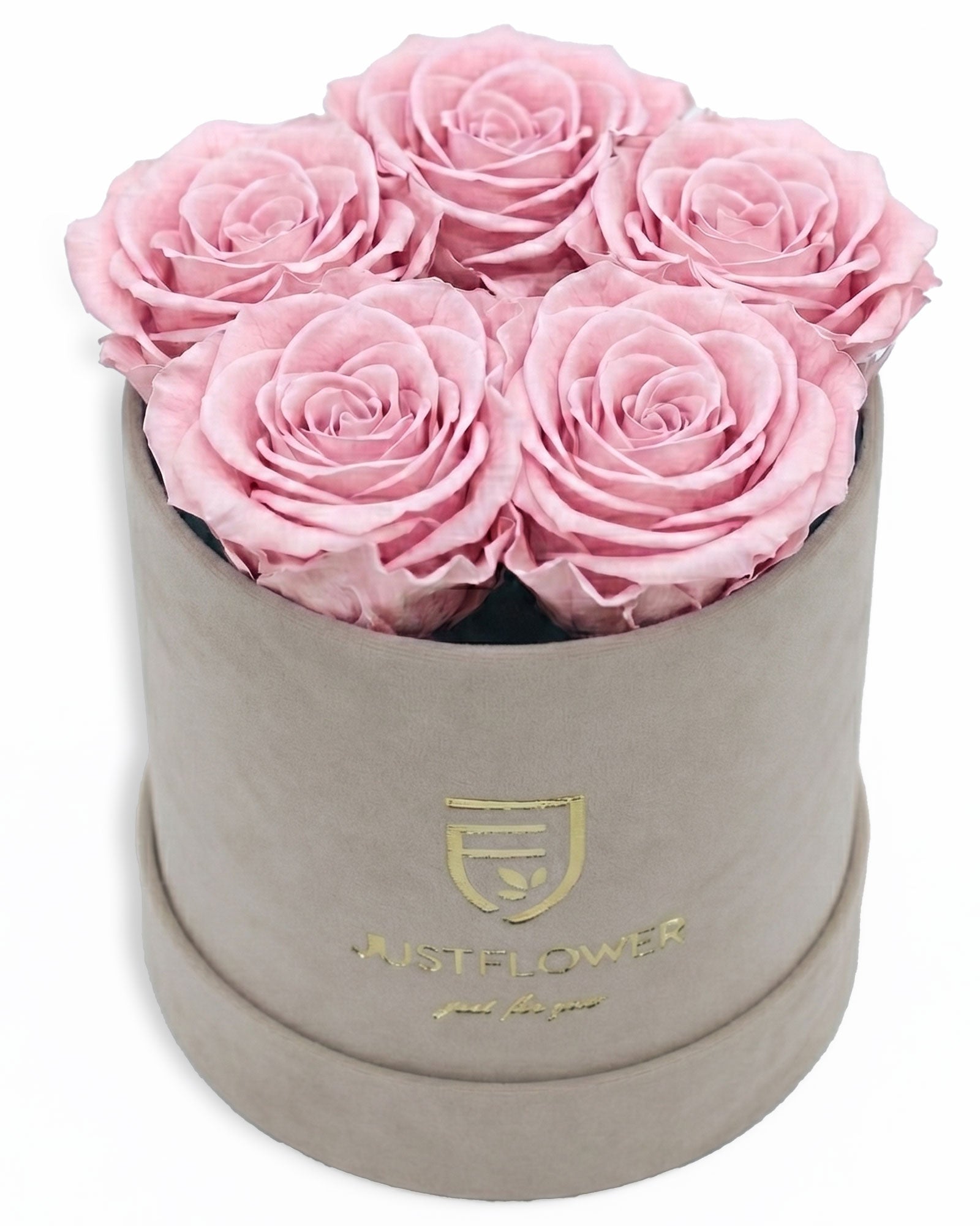 Rosenbox Rund Small Beige Velvet (12x12 cm) mit hellrosa Infinity Rosen – sanfte und elegante Geschenkidee