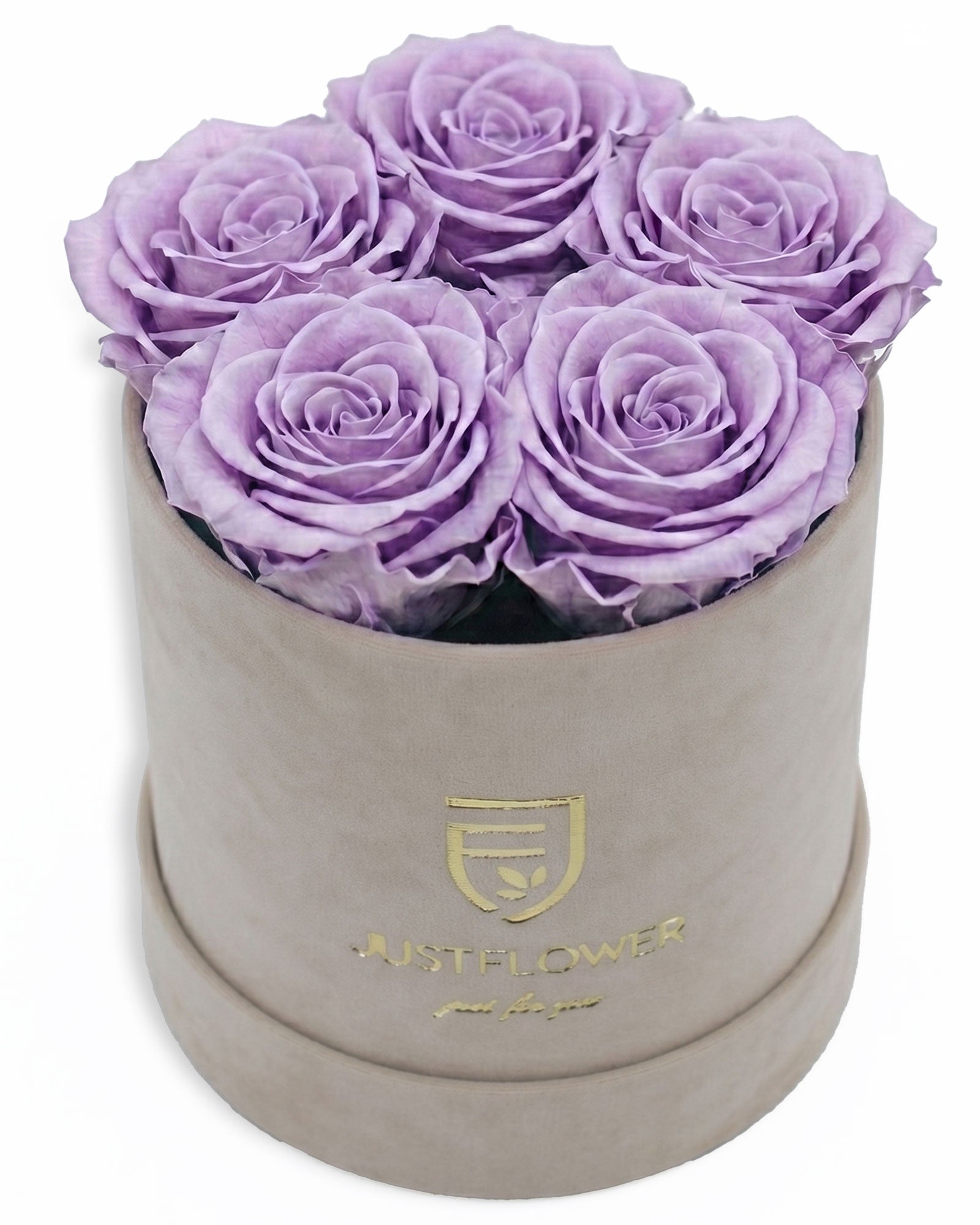 Rosenbox Rund Small Beige Velvet (12x12 cm) mit lila Infinity Rosen – auffällige und stilvolle Geschenkbox