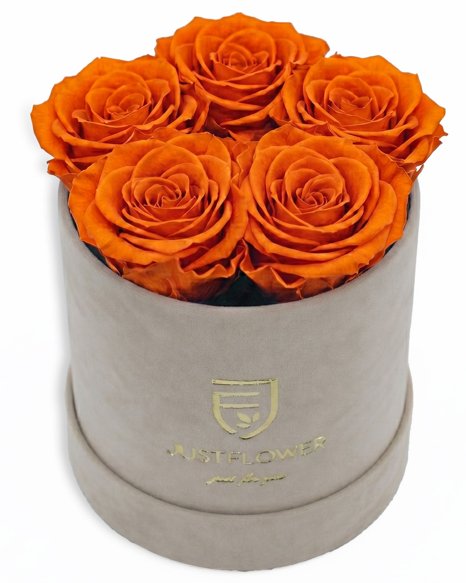 Rosenbox Rund Small Beige Velvet (12x12 cm) mit orangefarbenen Infinity Rosen – lebendige und auffällige Rosenbox