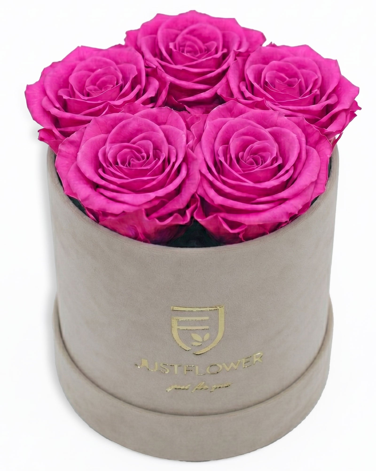 Rosenbox Rund Small Beige Velvet (12x12 cm) mit rosa Infinity Rosen – harmonische und stilvolle Kombination