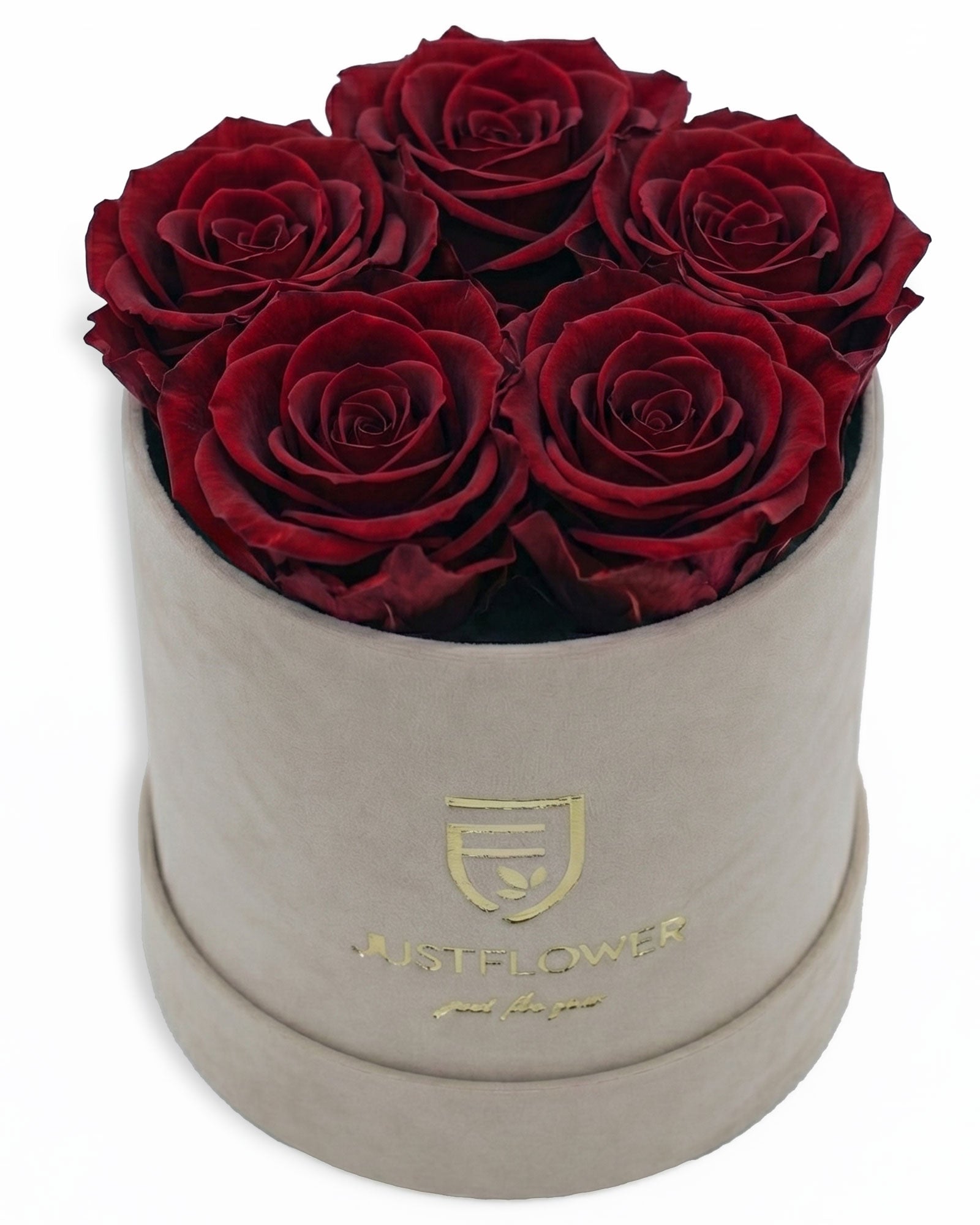 Rosenbox Rund Small Beige Velvet (12x12 cm) mit roten Infinity Rosen – stilvolle und romantische Geschenkidee