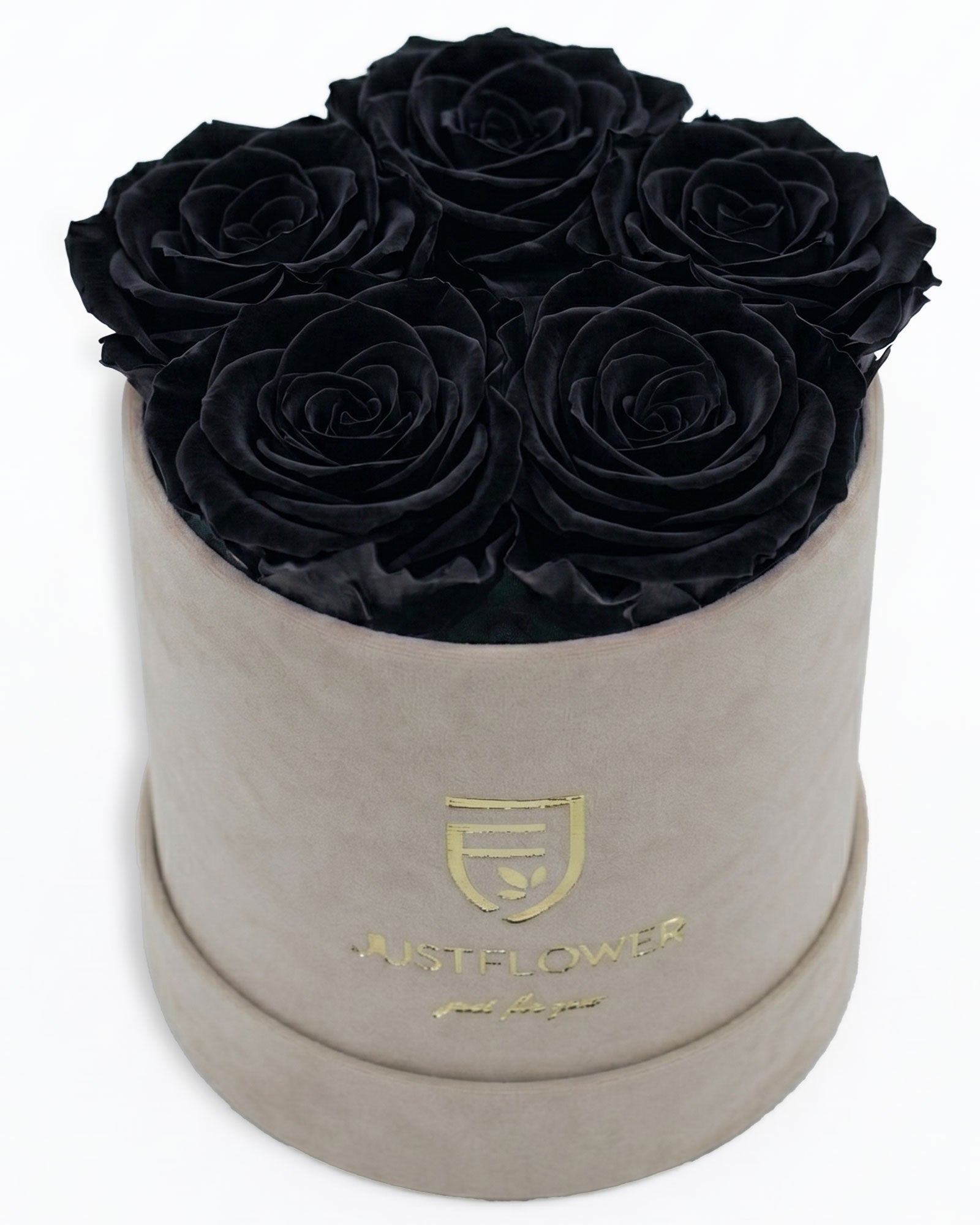 Rosenbox Rund Small Beige Velvet (12x12 cm) mit schwarzen Infinity Rosen – moderner und eleganter Look