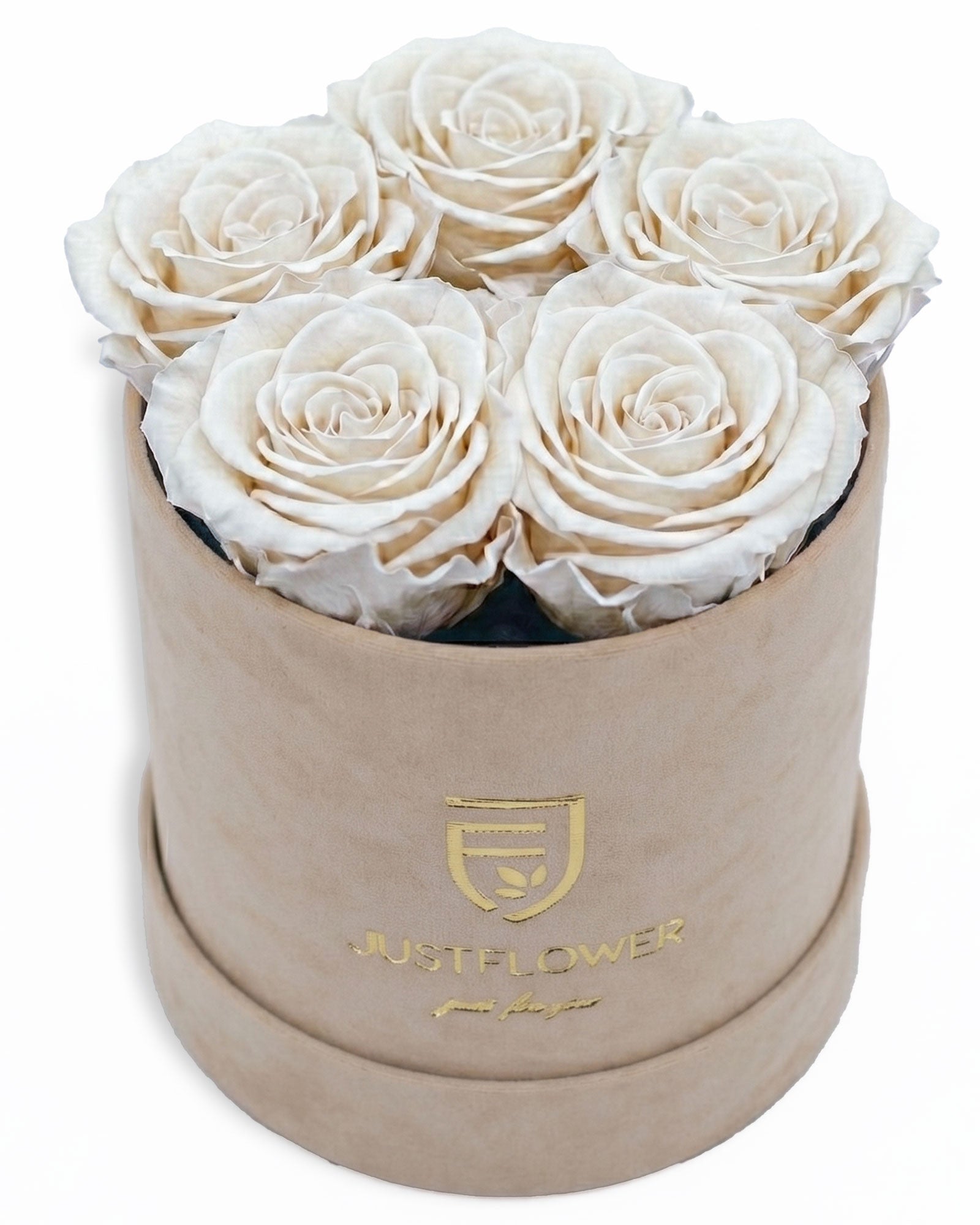 Rosenbox Rund Small Beige Velvet (12x12 cm) mit weissen Infinity Rosen – zeitlose und stilvolle Rosenbox