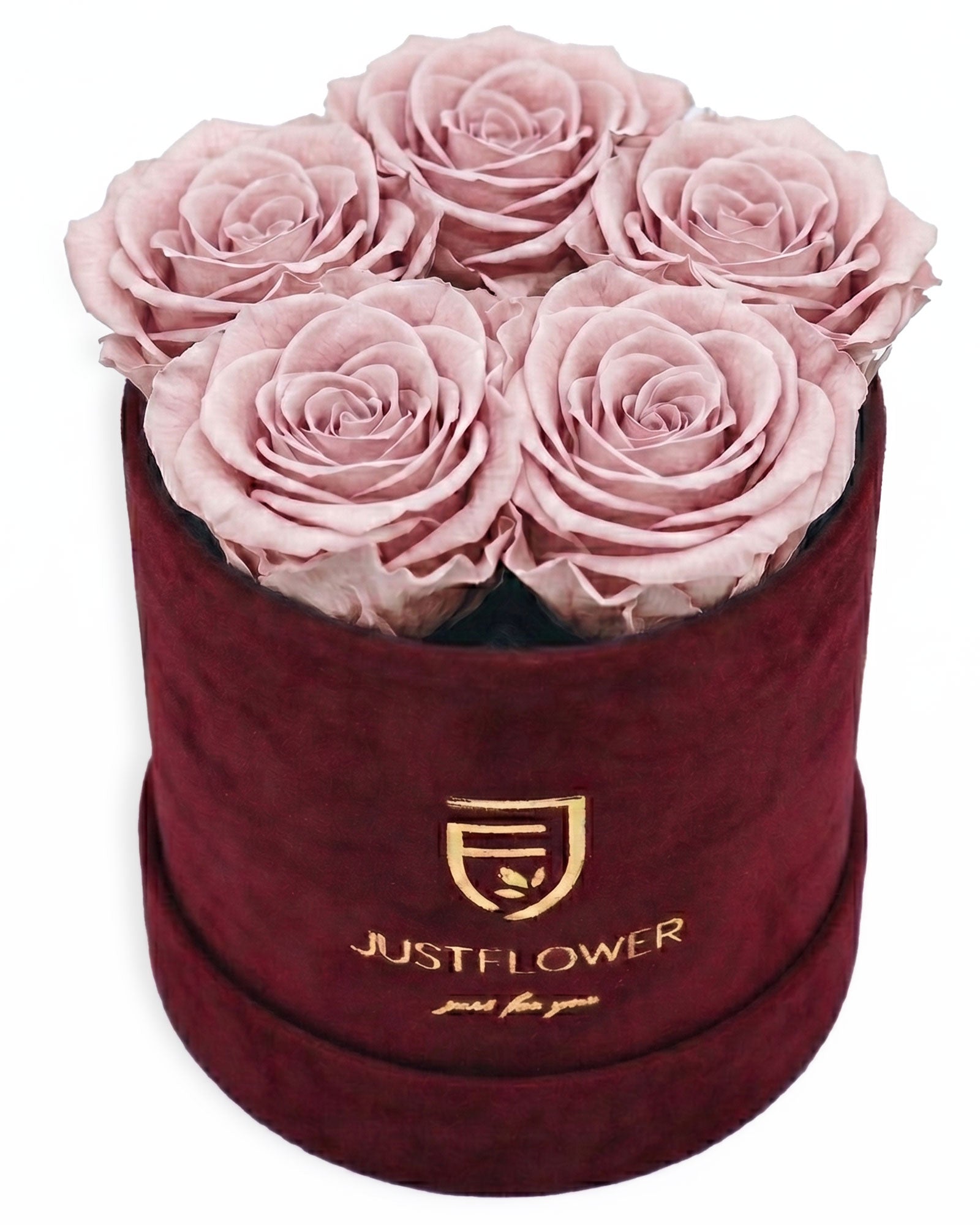 Rosenbox Rund Small Burgund Velvet (12x12 cm) mit altrosa Infinity Rosen – moderne Rosenbox im eleganten Stil