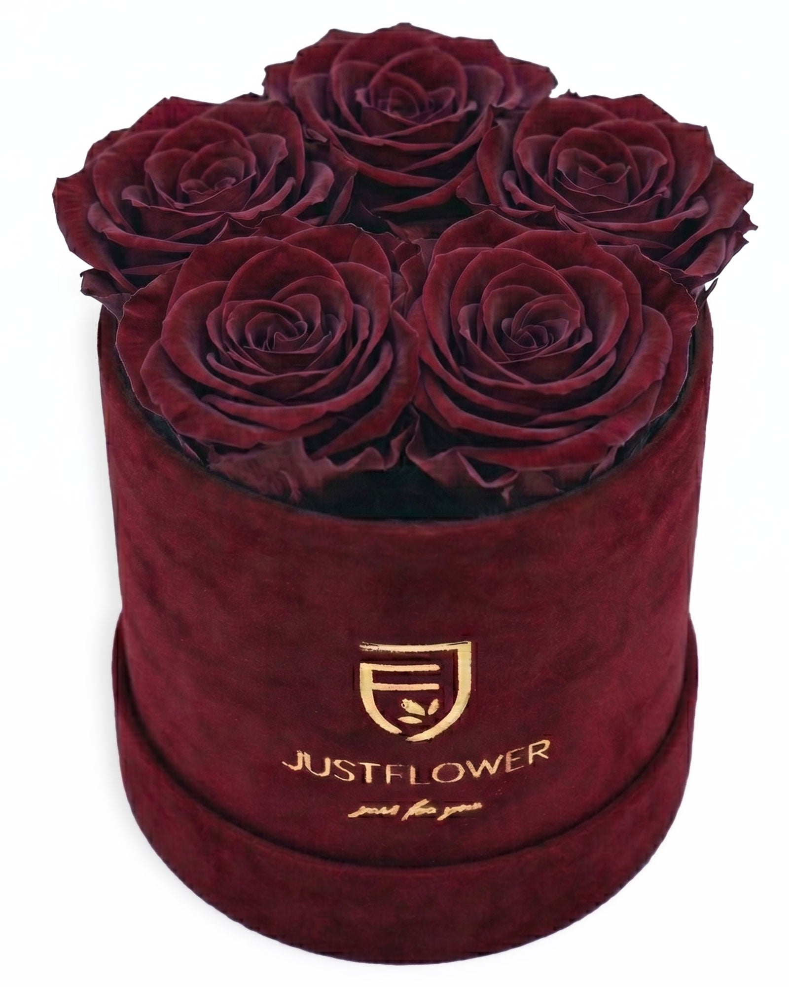 Rosenbox Rund Small in Burgund Velvet (12x12 cm) mit ca. 5–6 Infinity Rosen in Burgund – elegante Geschenkbox von JustFlower Schweiz