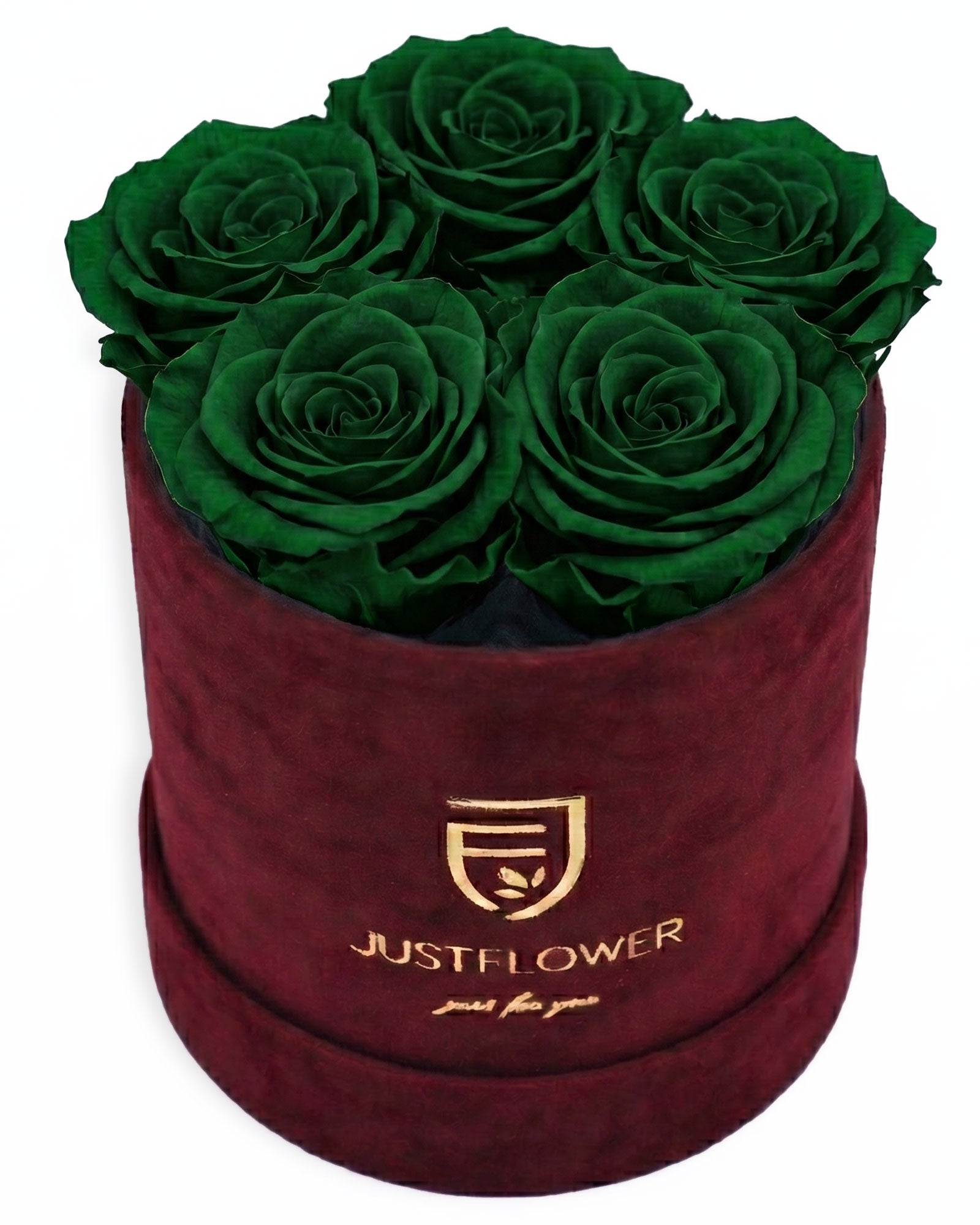 Rosenbox Rund Small Burgund Velvet (12x12 cm) mit grünen Infinity Rosen – aussergewöhnliche und moderne Geschenkidee
