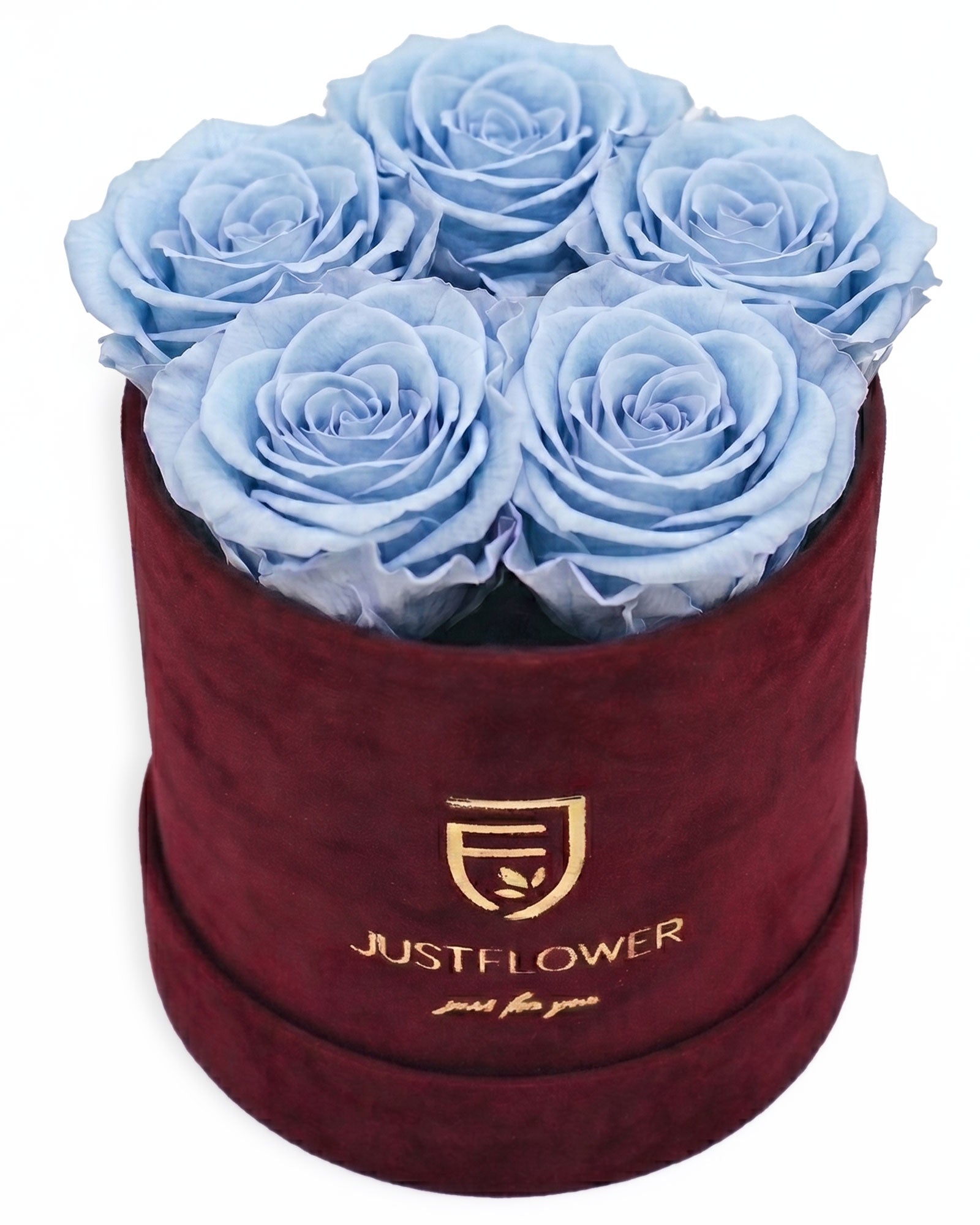 Rosenbox Rund Small Burgund Velvet (12x12 cm) mit hellblauen Infinity Rosen – kreative und kontrastreiche Rosenbox